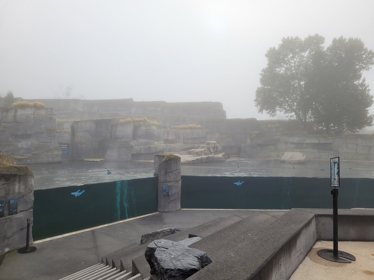 Patagonian sea lion and South American fur seal exhibit -Parc Zoologique de Paris (2022)