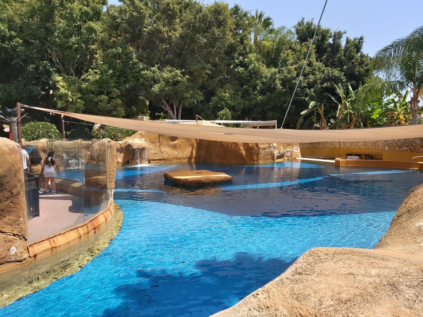 Patagonian sea lion enclosure