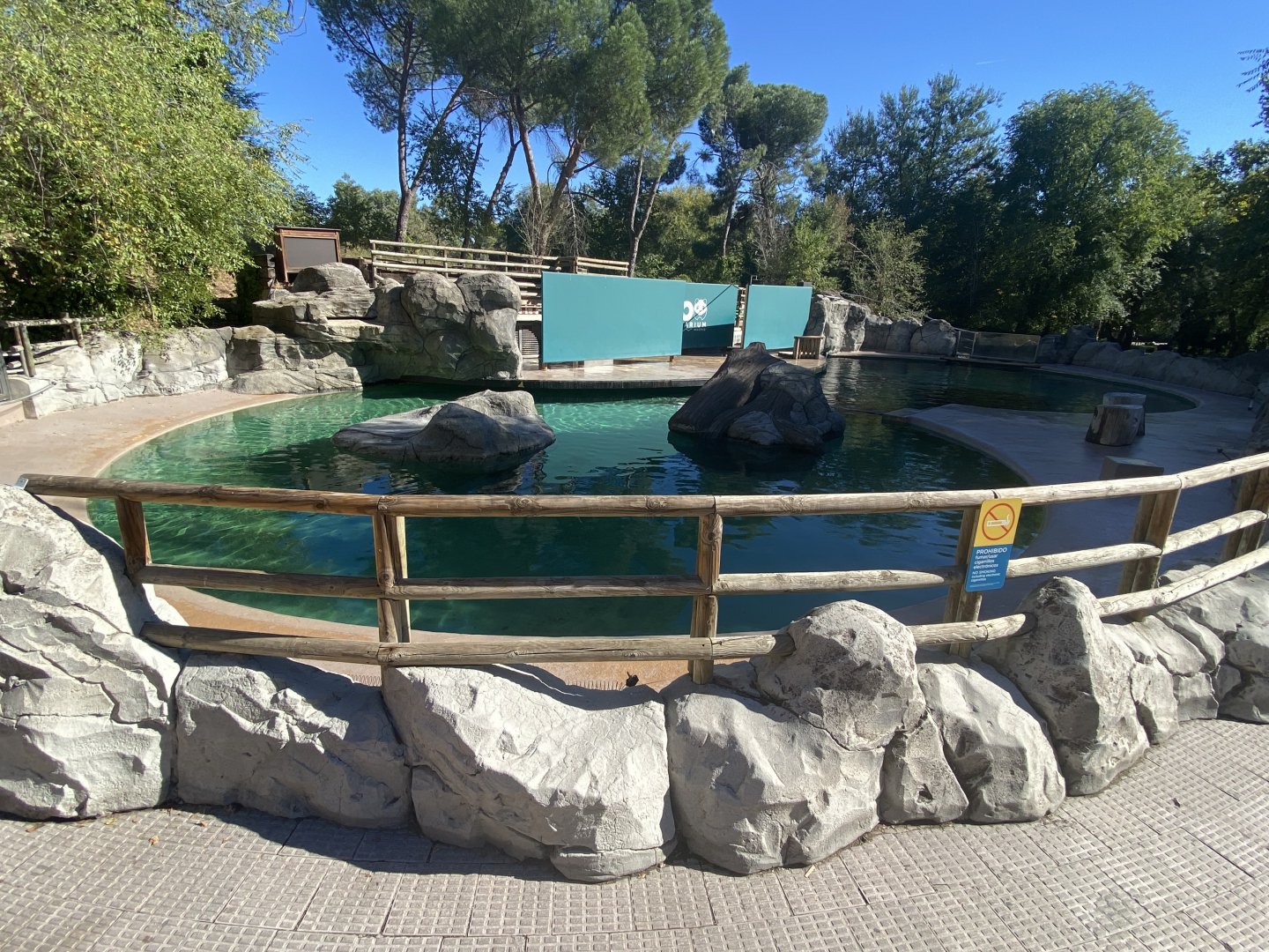 Patagonian sea lion enclosure