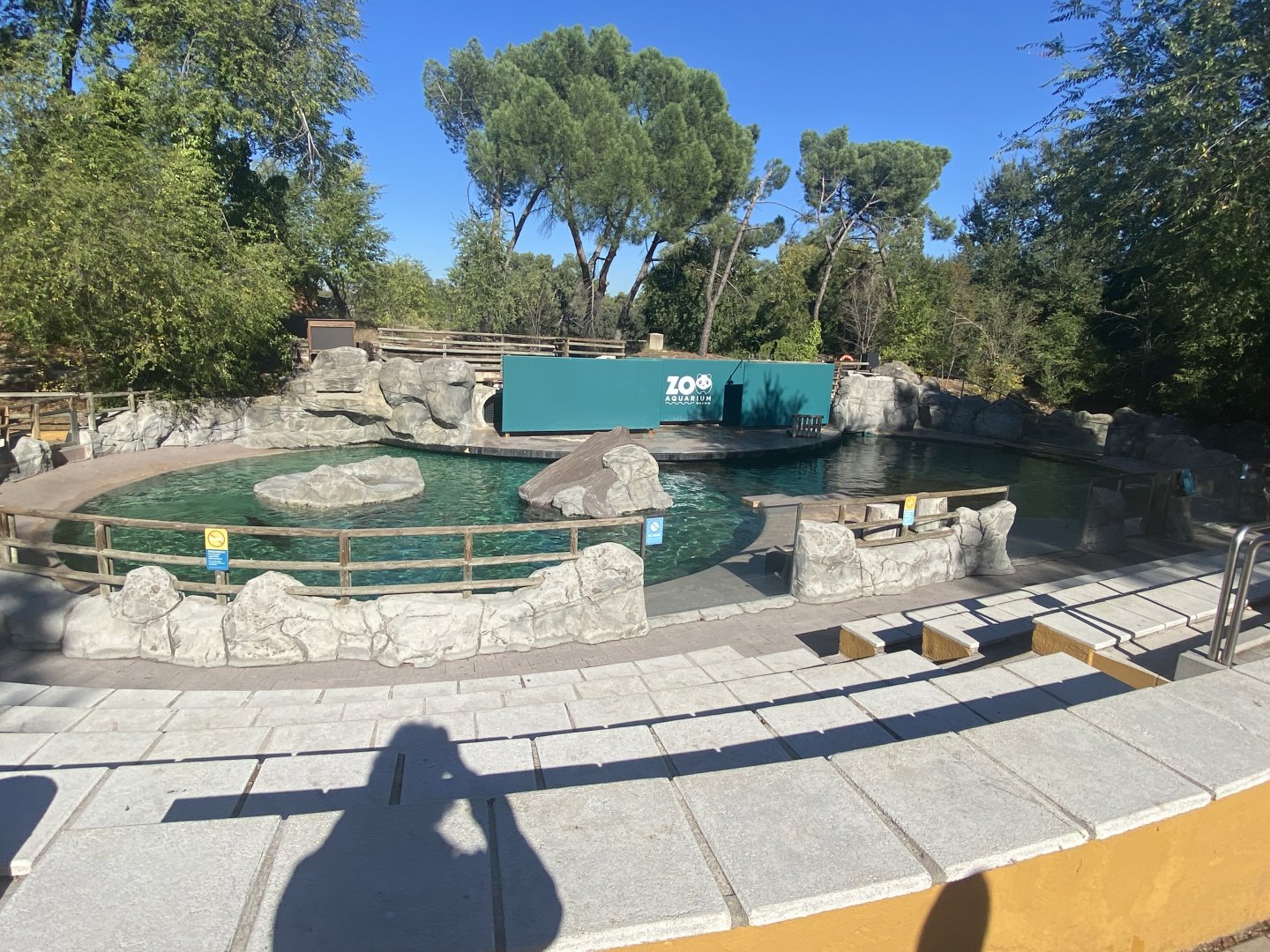 Patagonian sea lion enclosure
