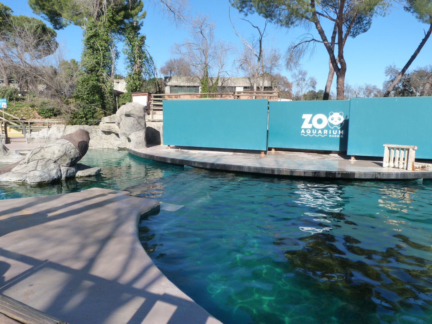 Patagonian sea lion exhibit -Zoo Aquarium de Madrid (2025)