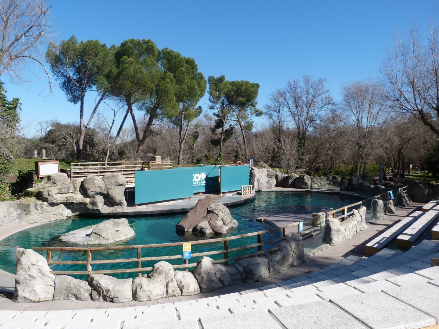 Patagonian sea lion exhibit -Zoo Aquarium de Madrid (2025)