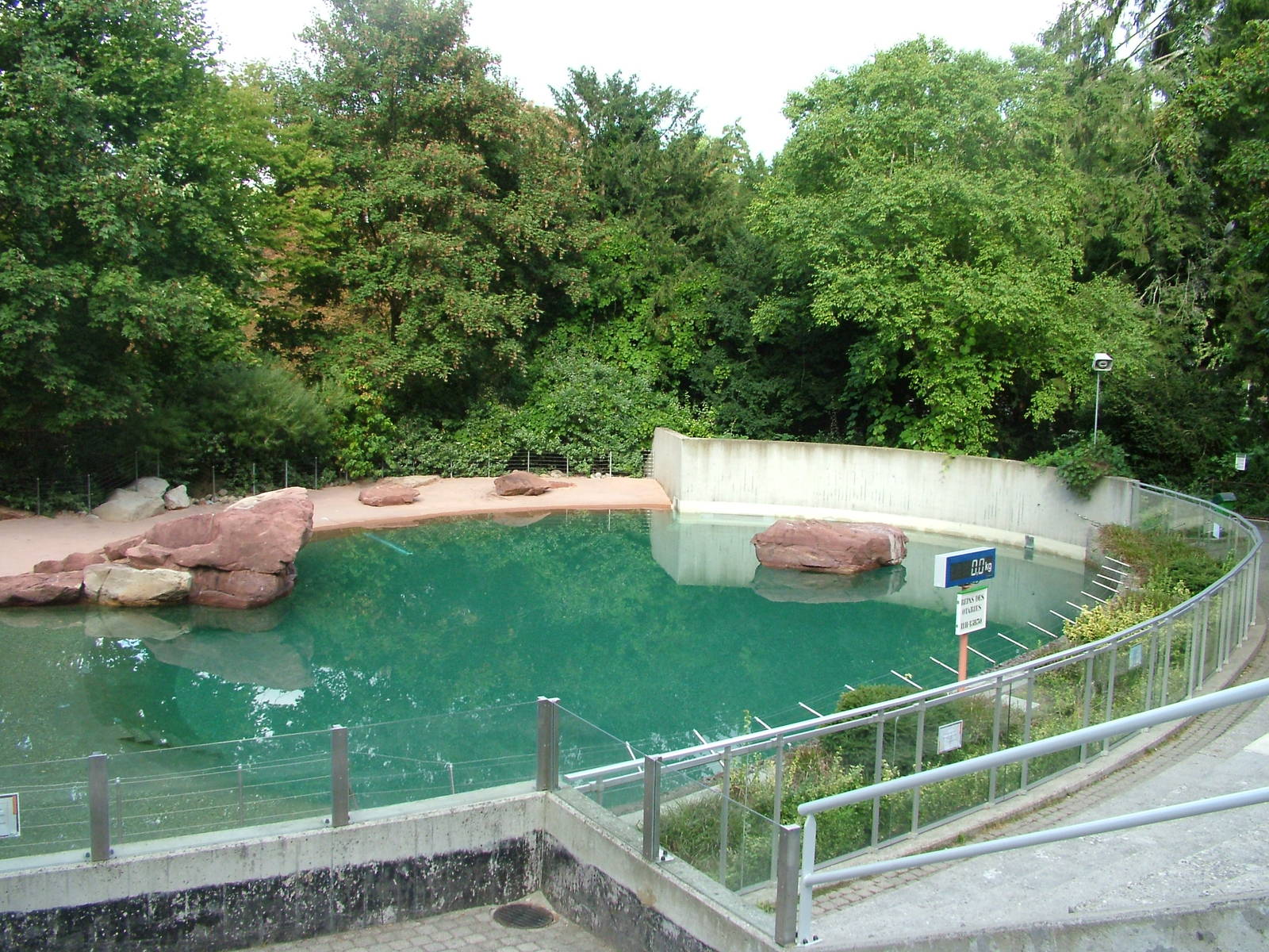Patagonian Sealion pool at Mulhouse 29/08/09