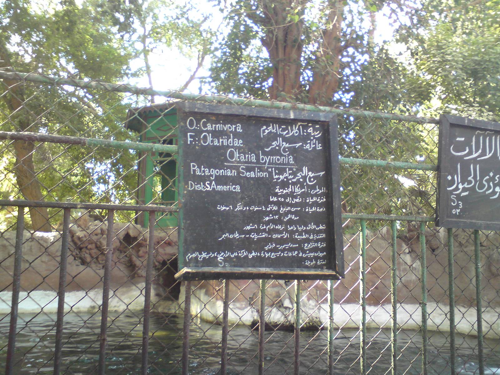 Patagonian sealion sign