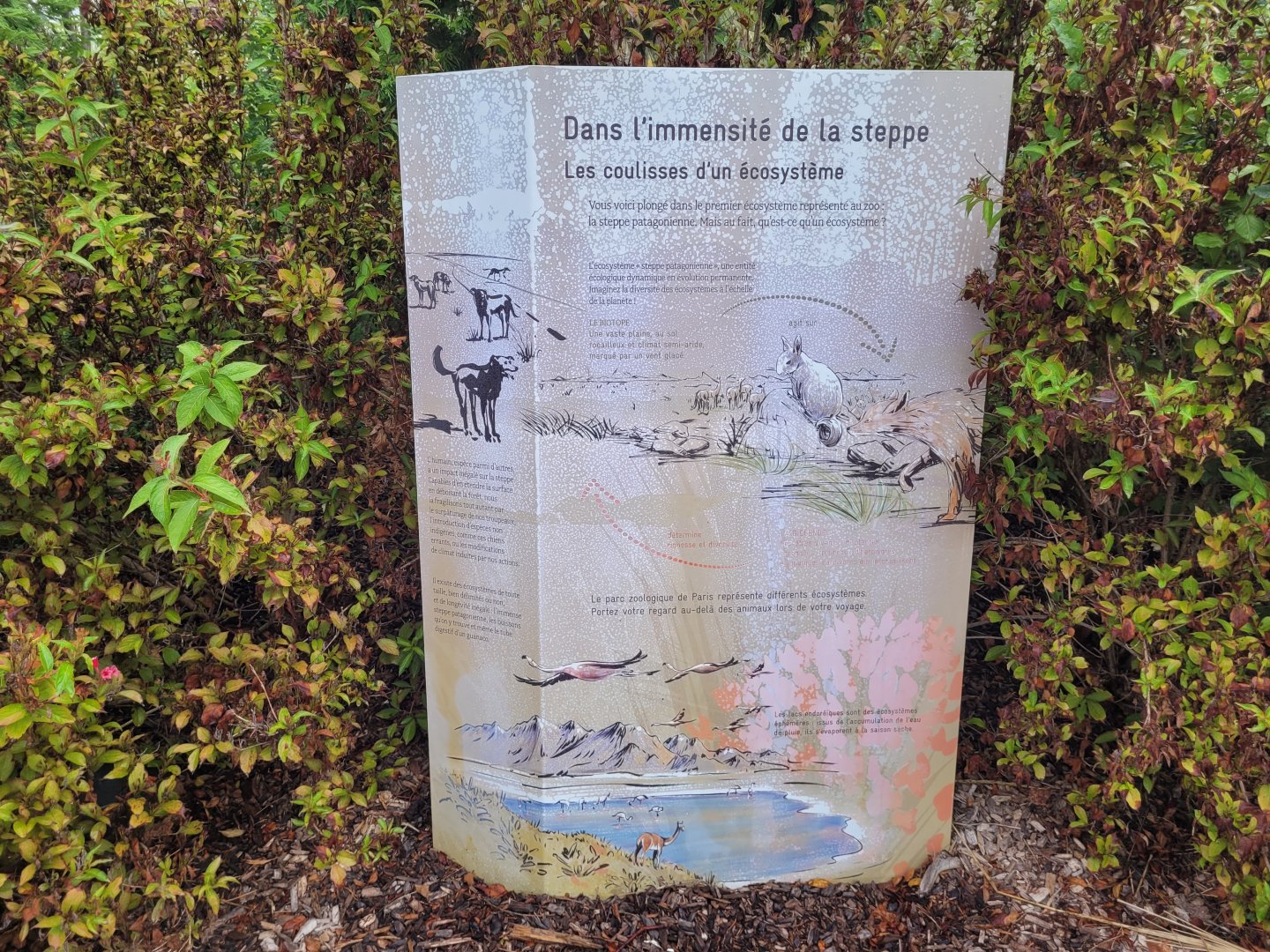 Patagonian steppe sign -Parc Zoologique de Paris (2022)