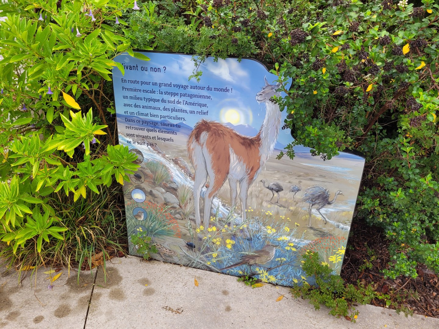 Patagonian steppe sign -Parc Zoologique de Paris (2022)