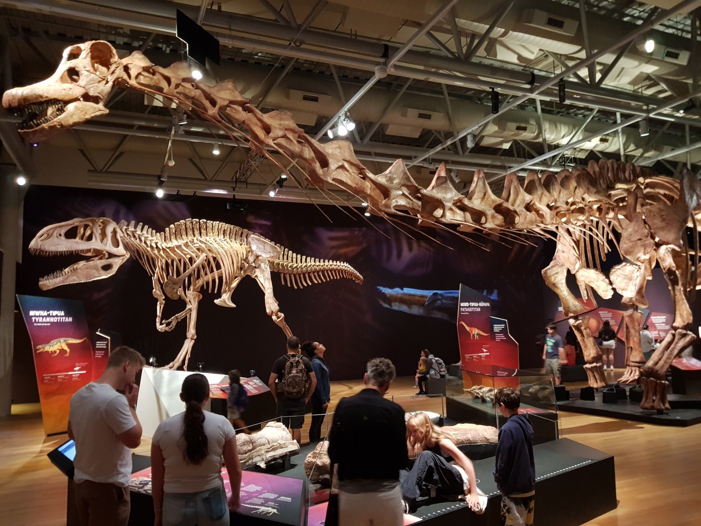 Patagotitan mayorum Ngā Taniwha o Rūpapa | Dinosaurs of Patagonia, Te Papa