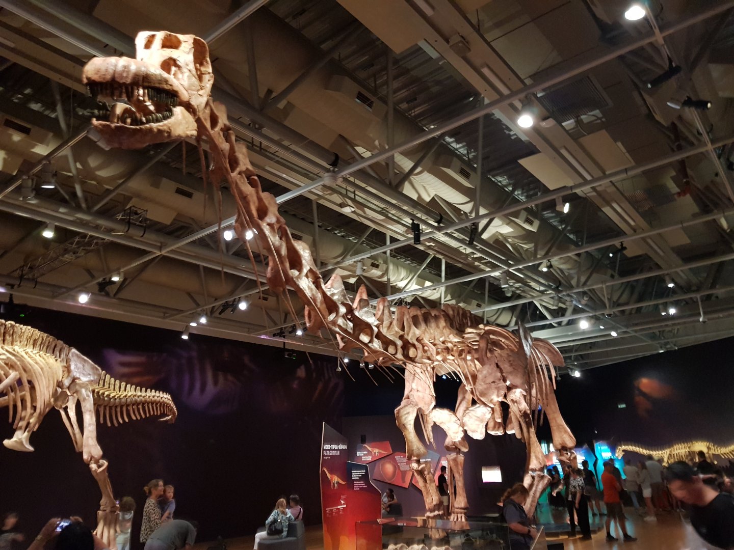 Patagotitan mayorum- Ngā Taniwha o Rūpapa | Dinosaurs of Patagonia, Te Papa