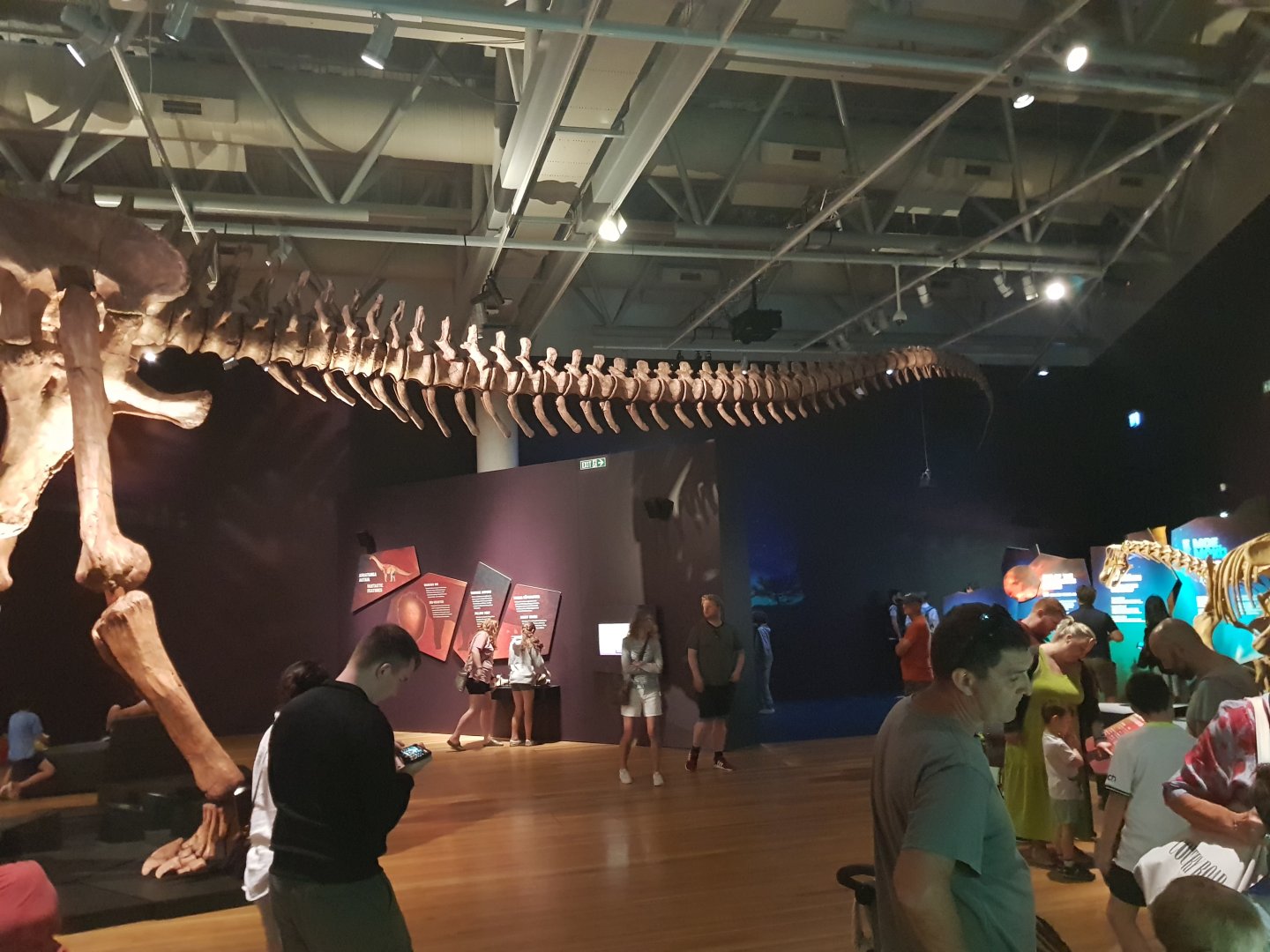 Patagotitan mayorum- Ngā Taniwha o Rūpapa | Dinosaurs of Patagonia, Te Papa