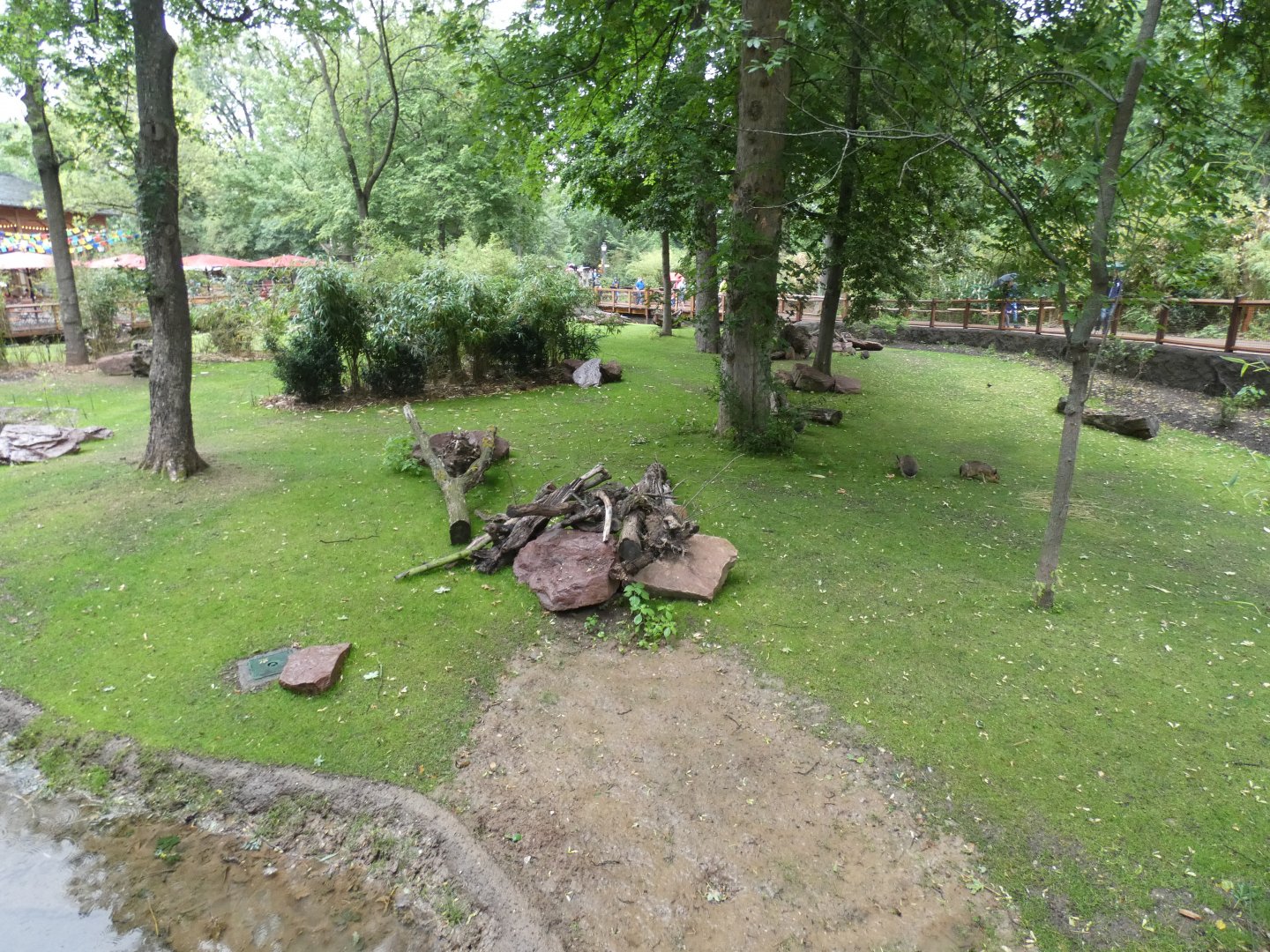 Patanal exhibit in new South American area (2)