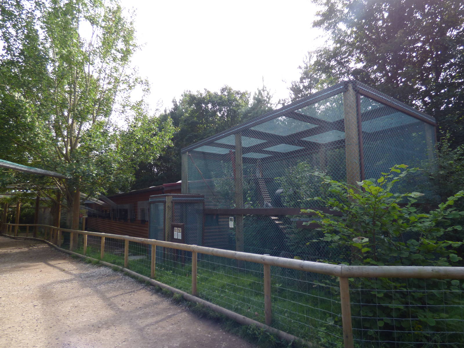 Patas Monkey and Ring Tailed Lemur Exhibit