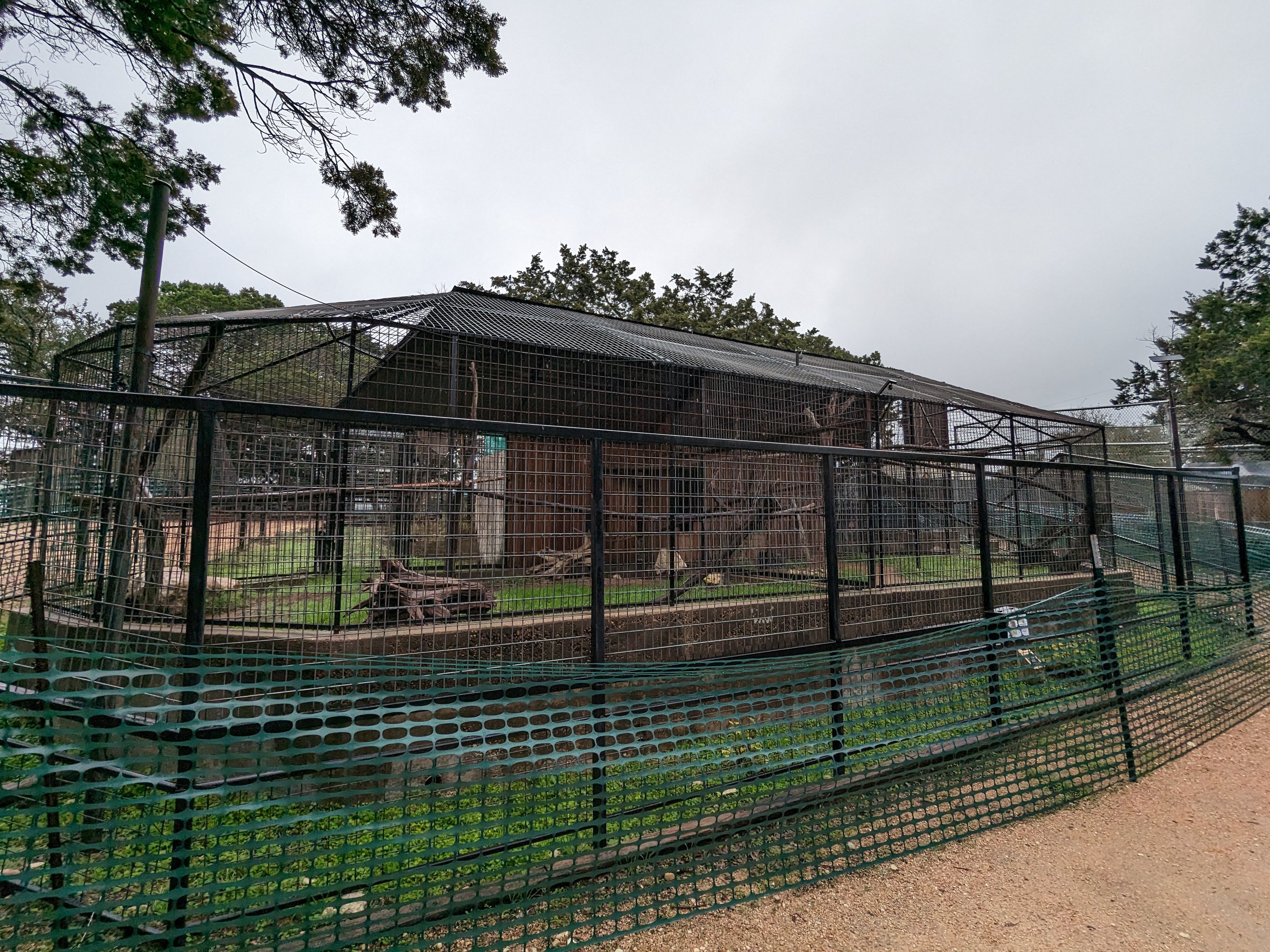 Patas monkey cage
