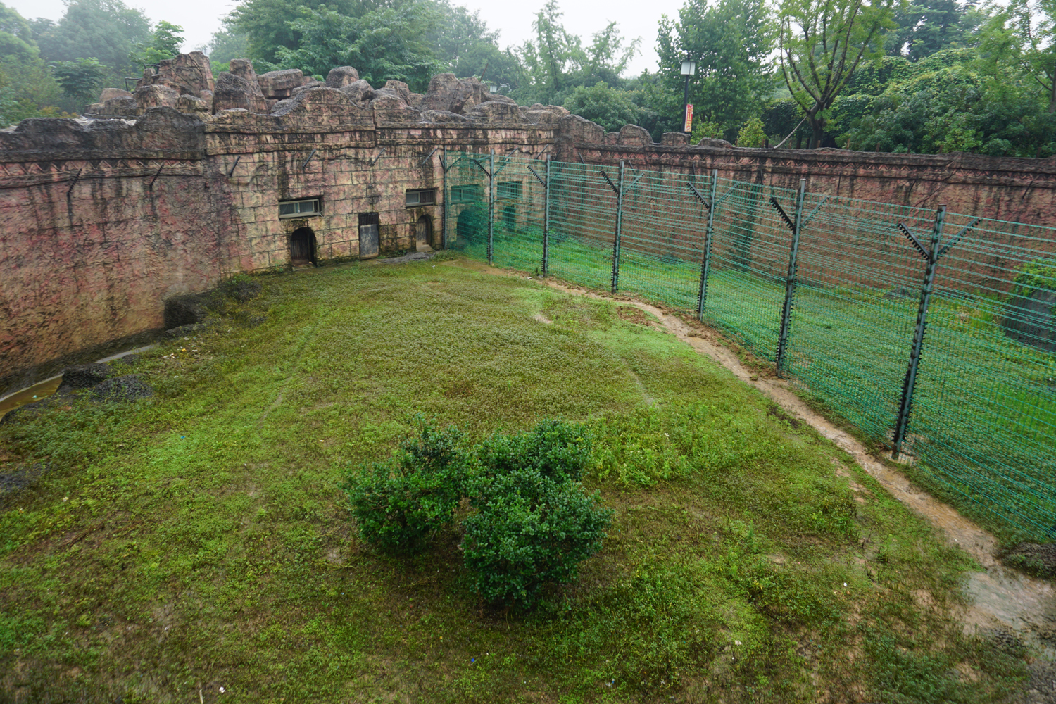 Patas monkey enclosure