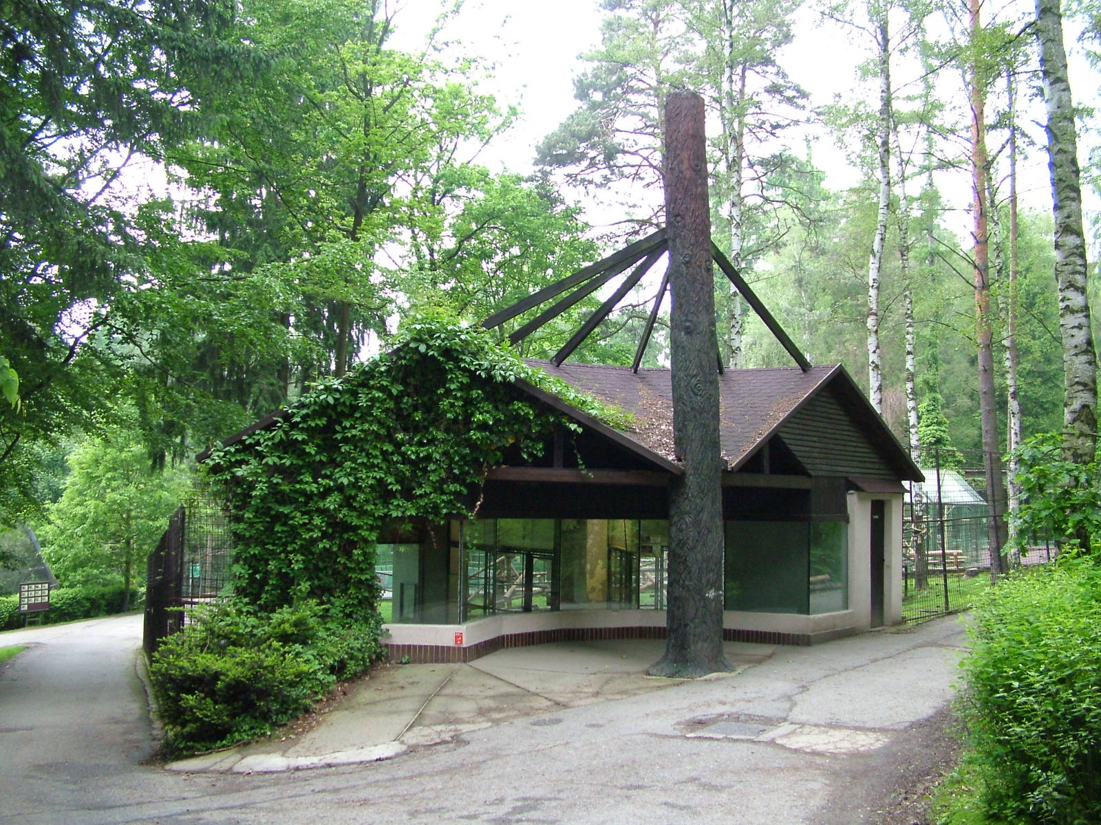 Patas Monkey exhibit at Olomouc 30/05/10