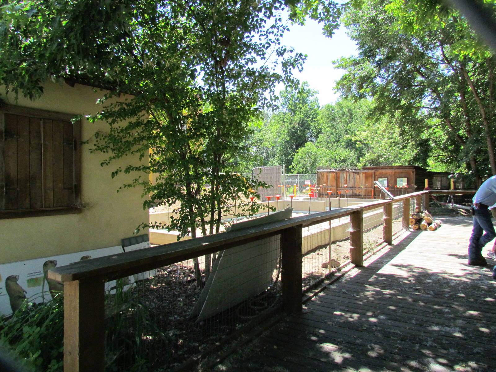 Patas Monkey Exhibit Construction