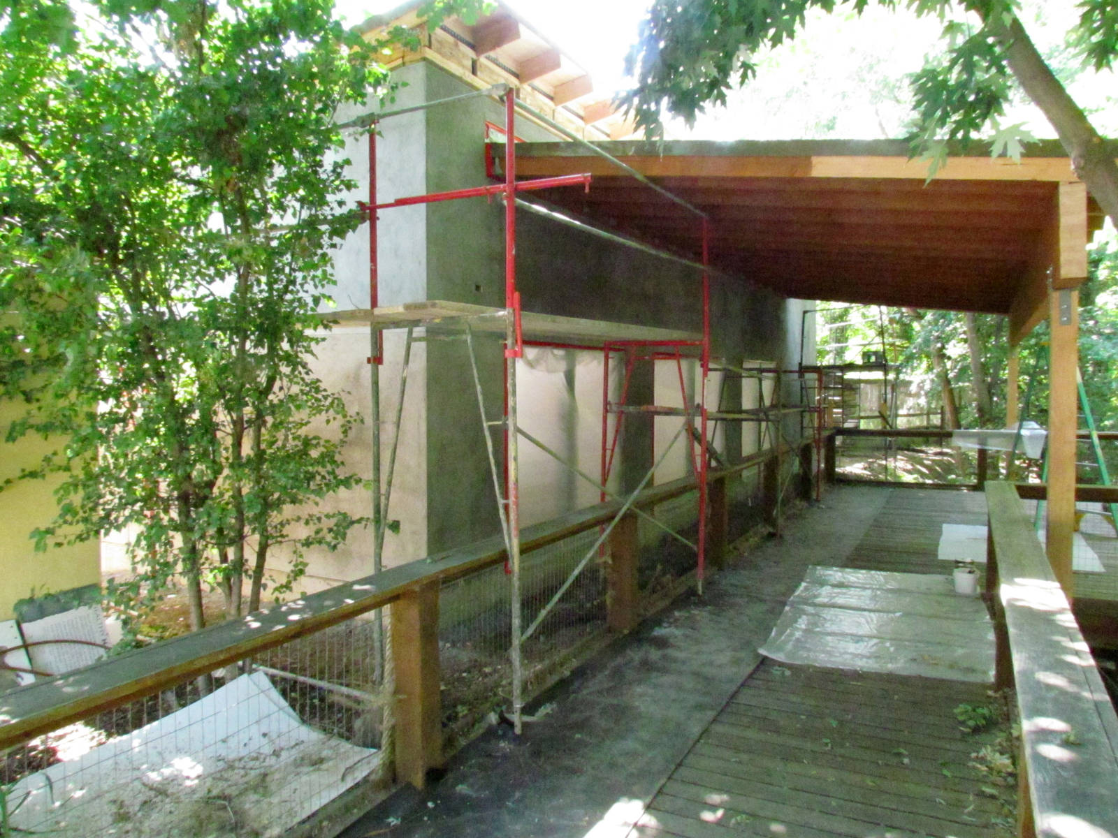Patas Monkey Exhibit Construction