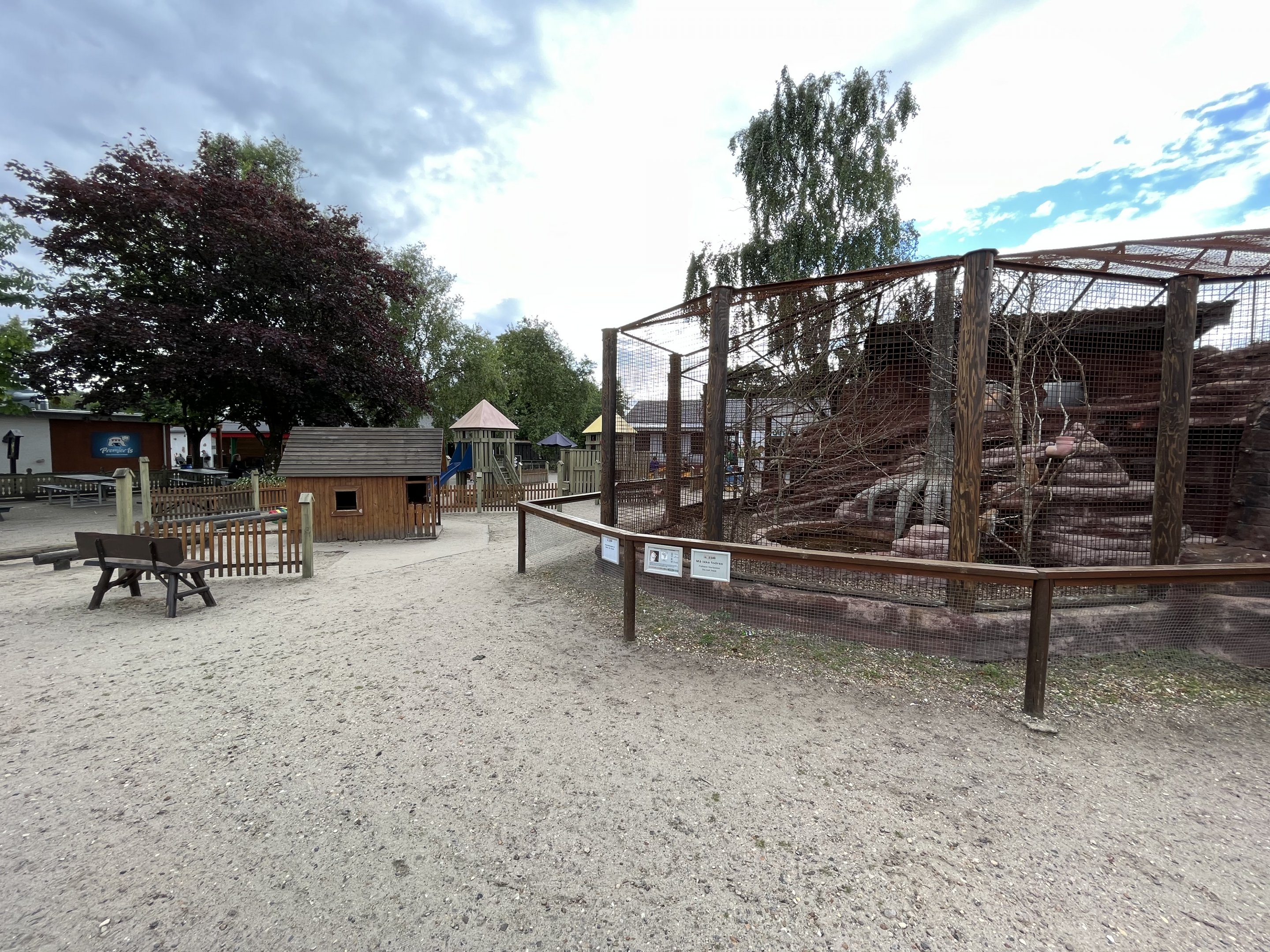 Patas Monkey Exhibit + Playground