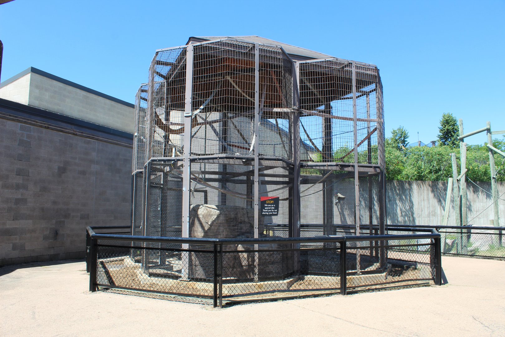 Patas Monkey Exhibit - Primate House