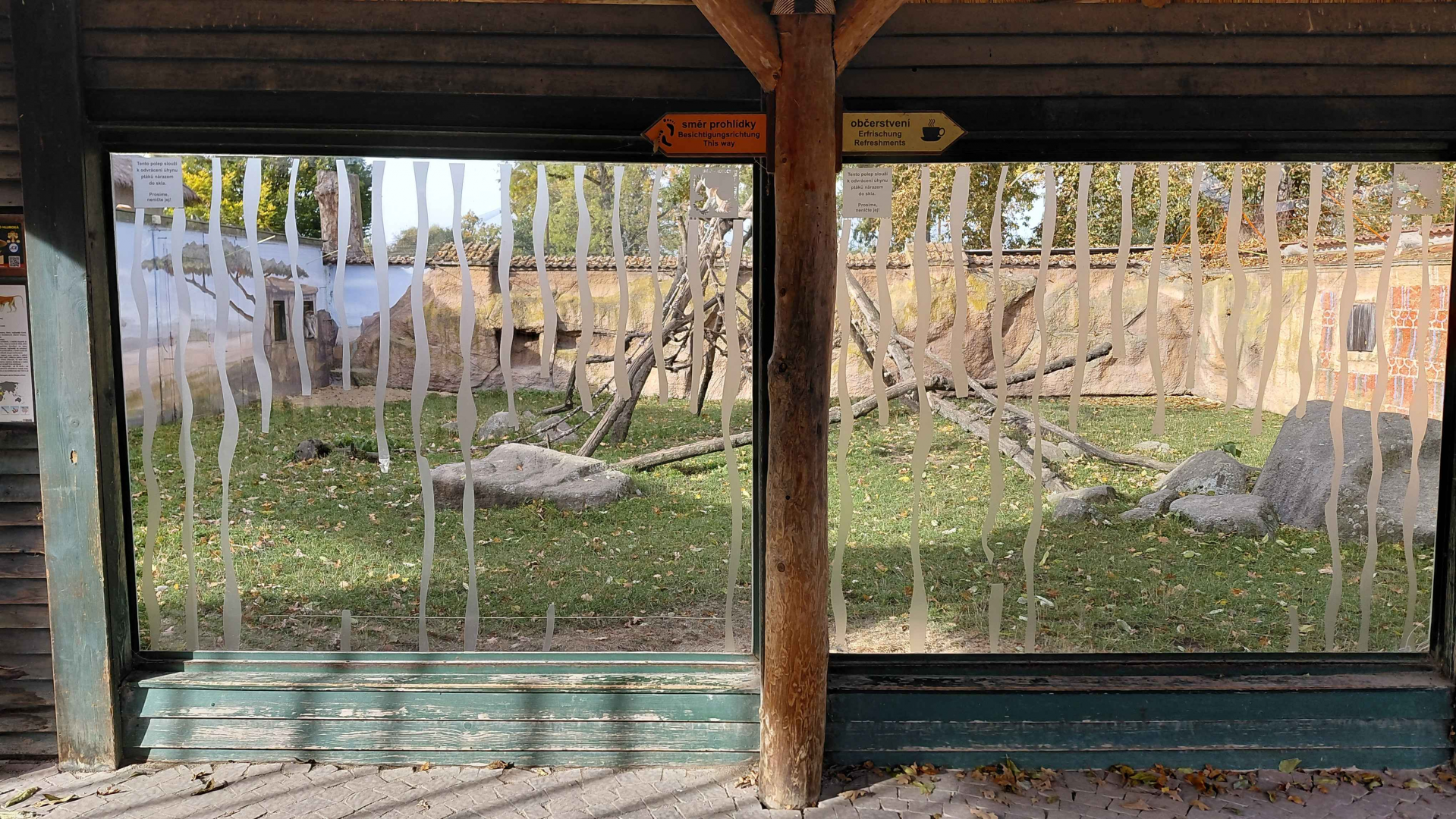 Patas monkey exhibit - viewing area