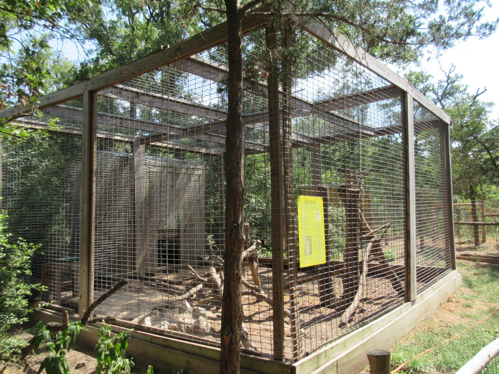 Patas Monkey Exhibit