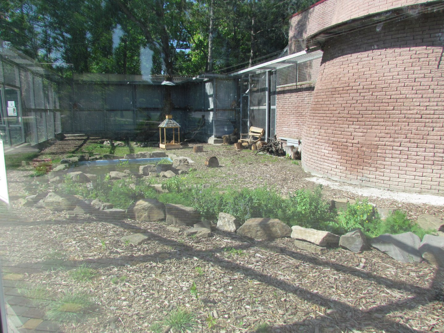 Patas monkey exhibit