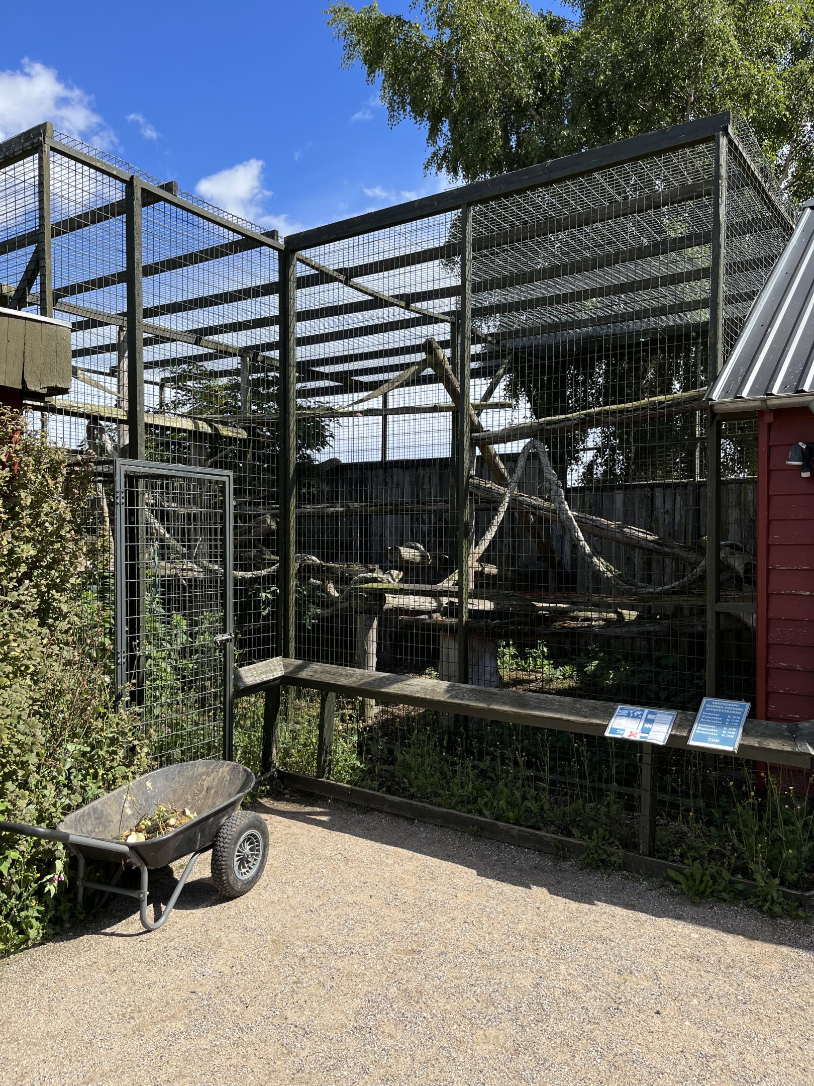 Patas Monkey Exhibit
