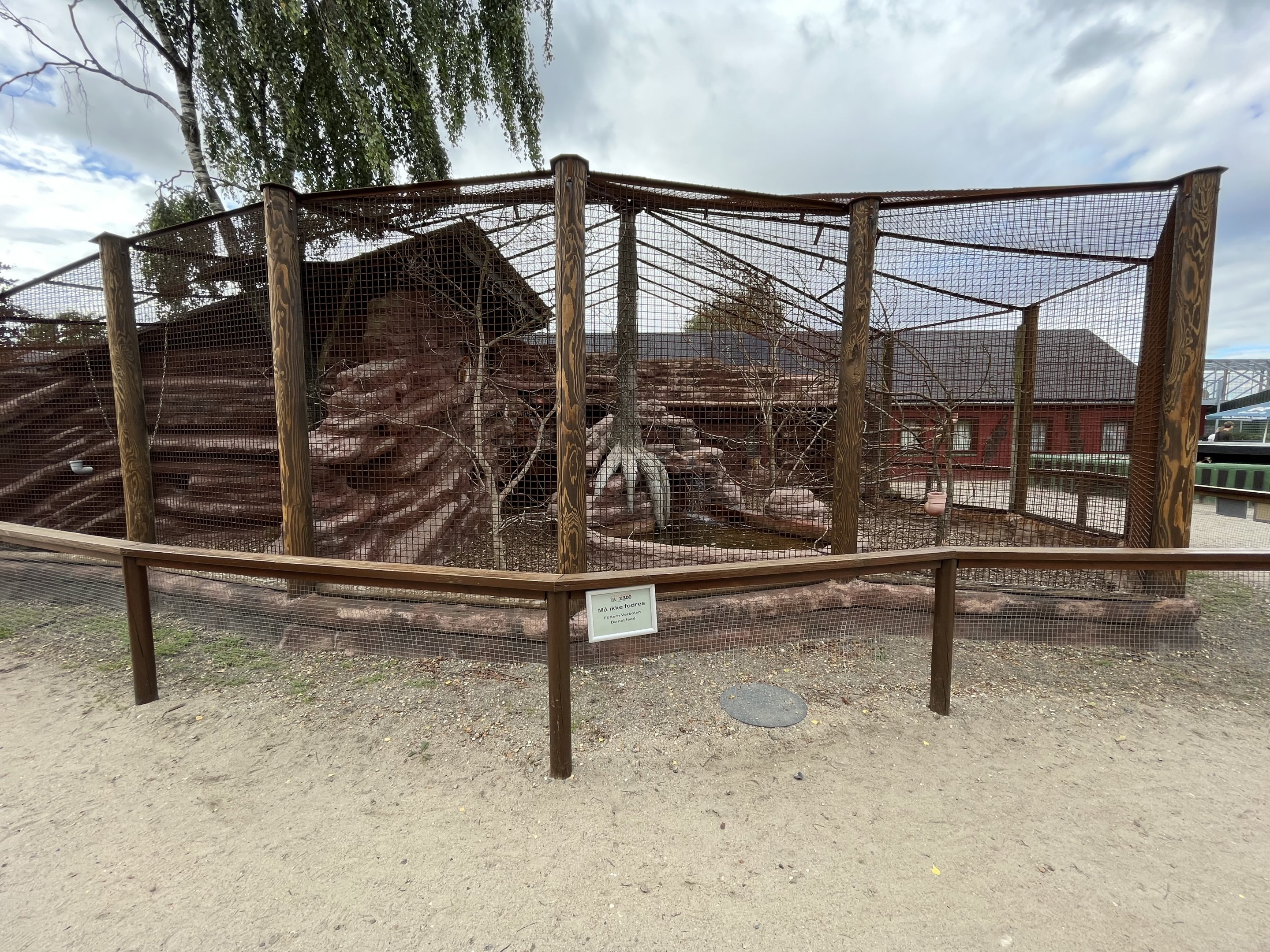 Patas Monkey Exhibit