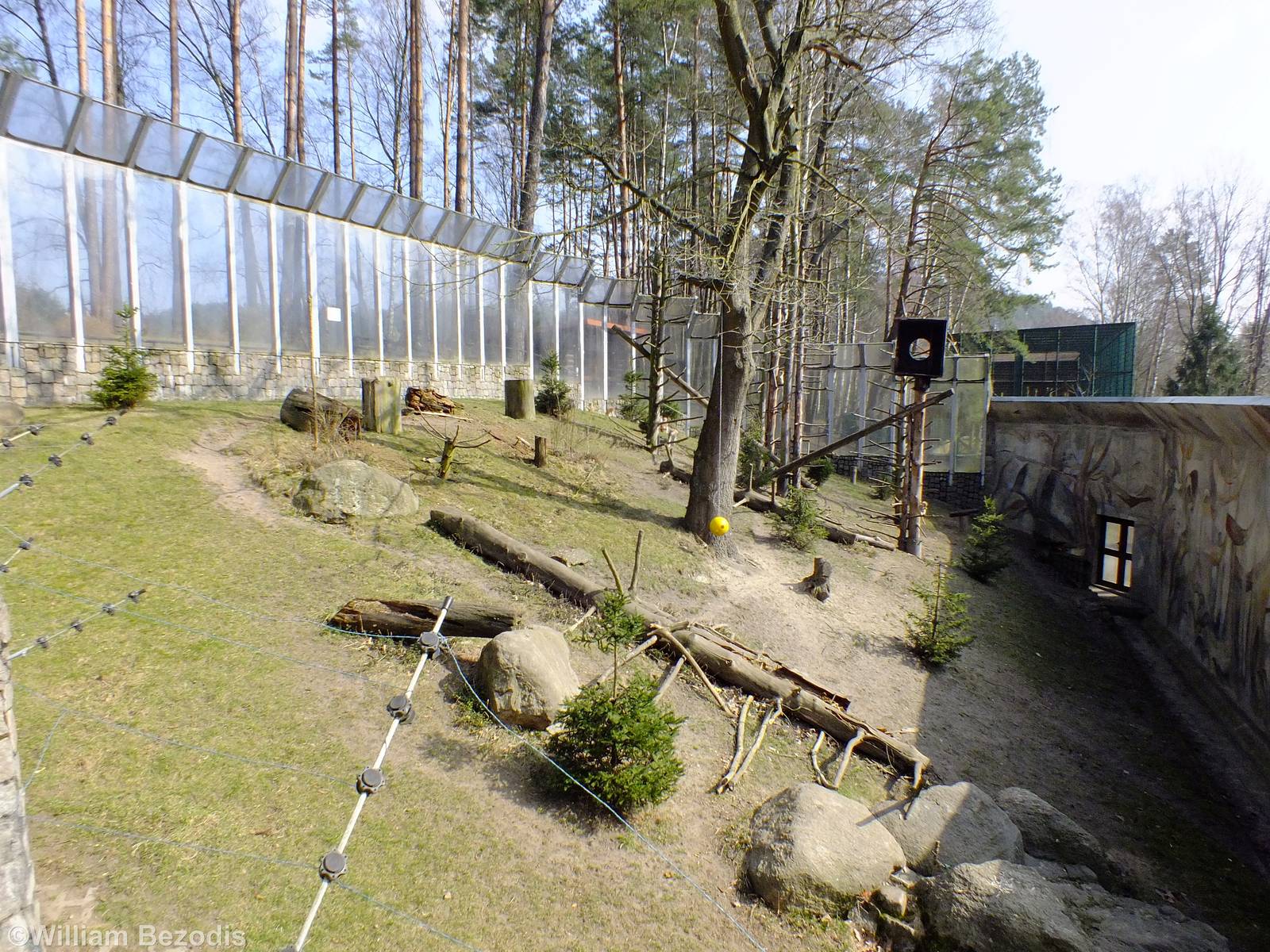 Patas Monkey Outdoor Enclosure