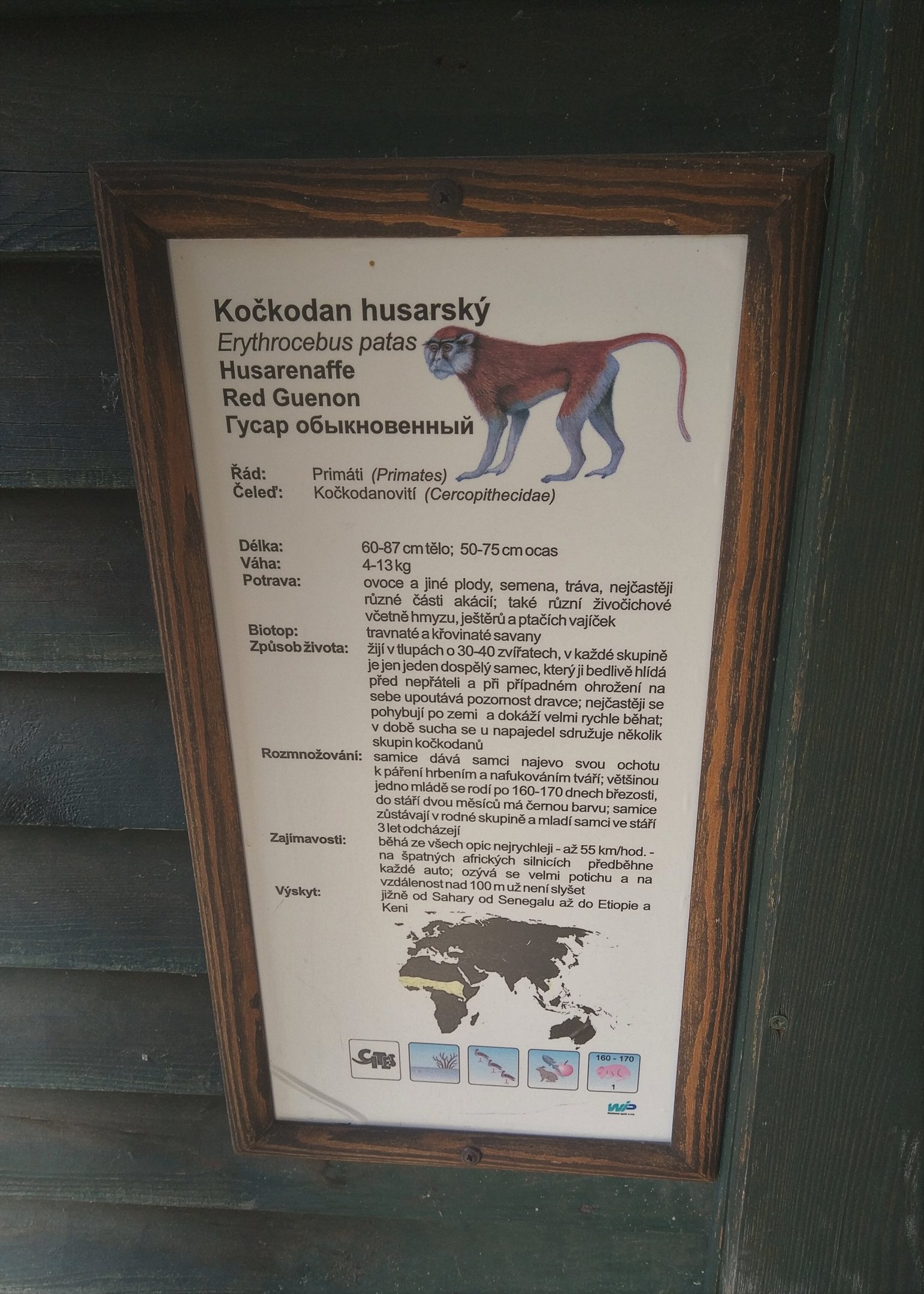 Patas Monkey Signage