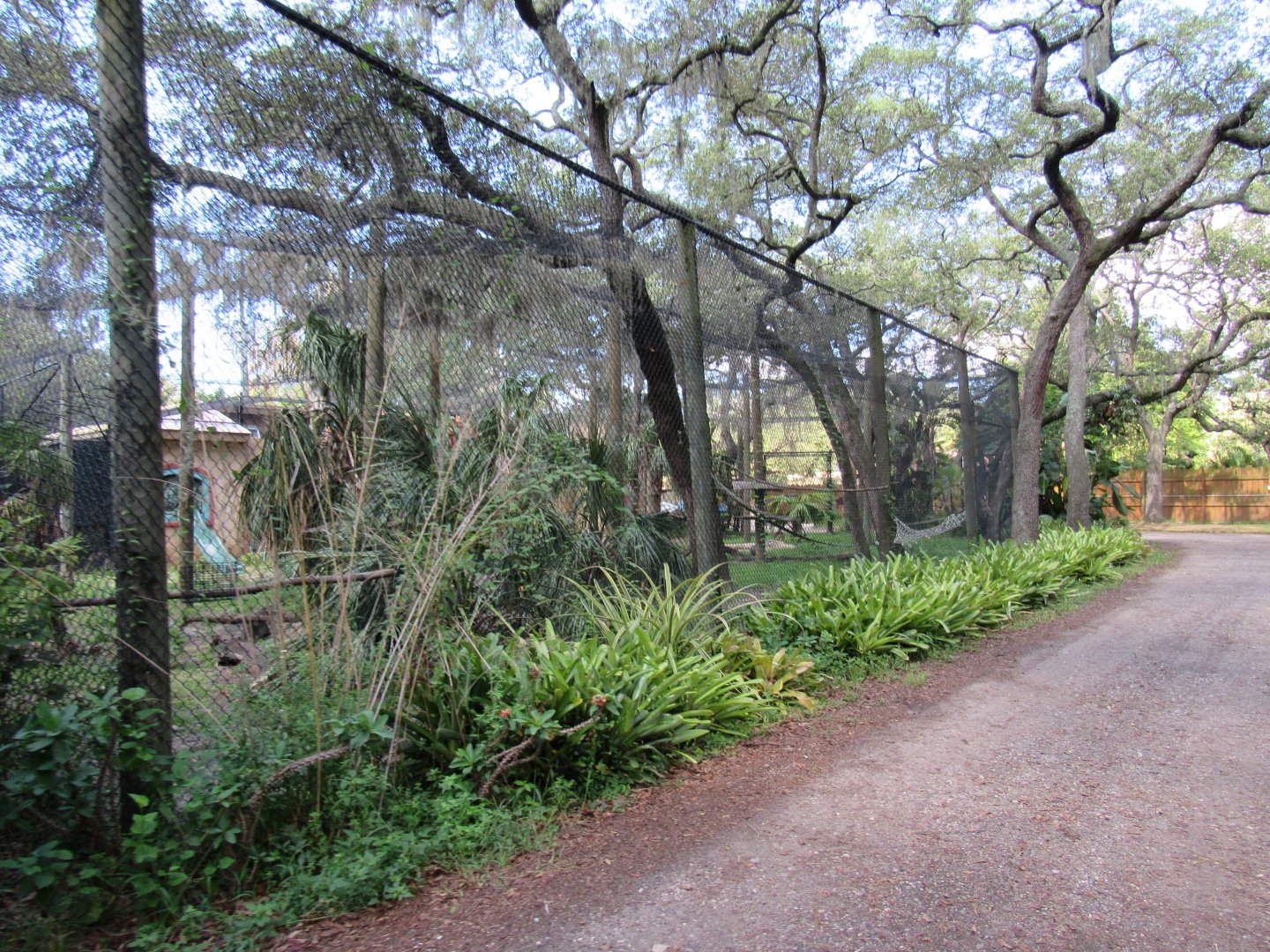Patas Monkey/Western Bay Duiker Exhibit