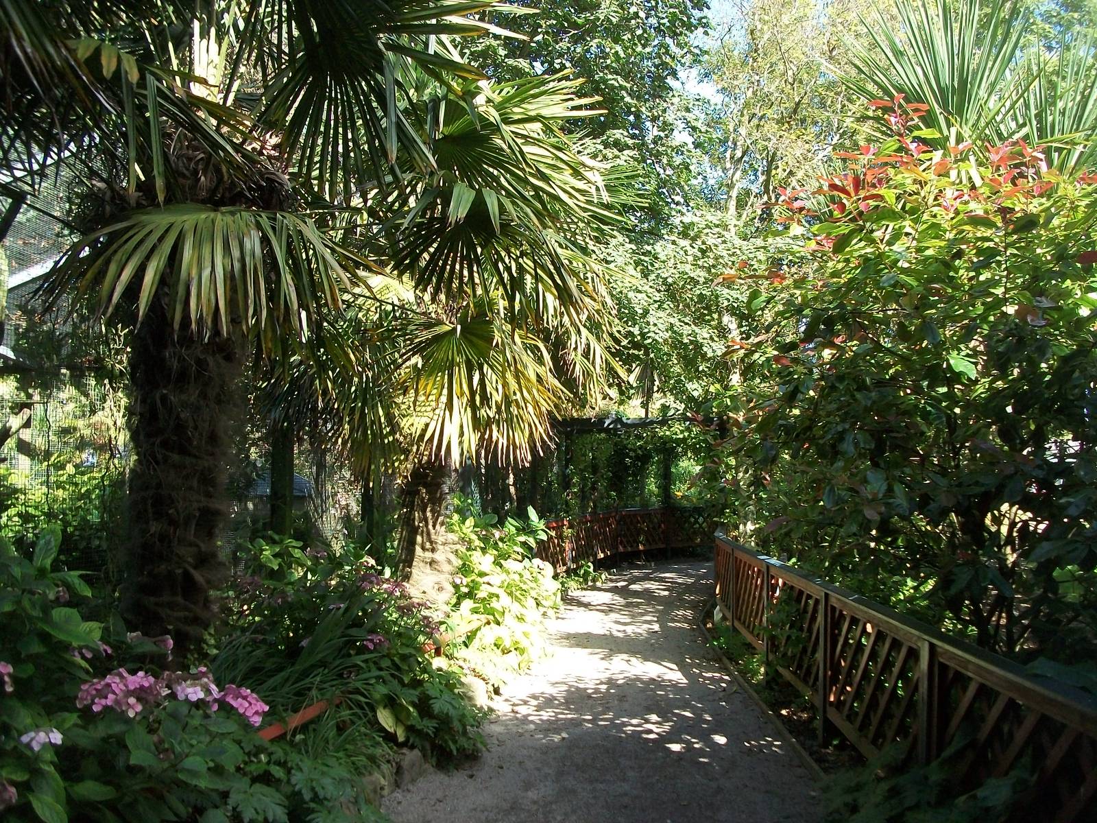 Path 13th September 2012