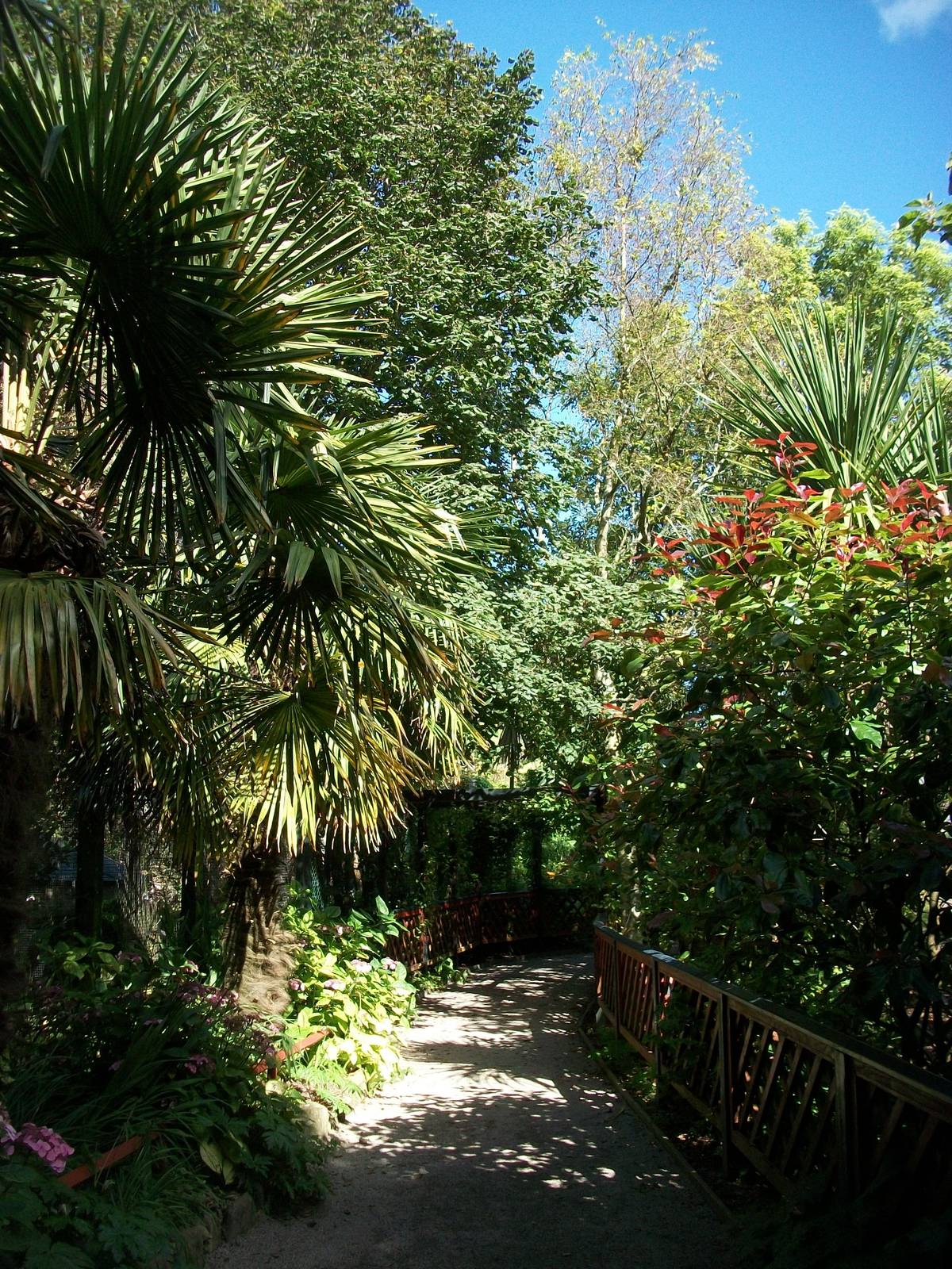 Path 13th September 2012