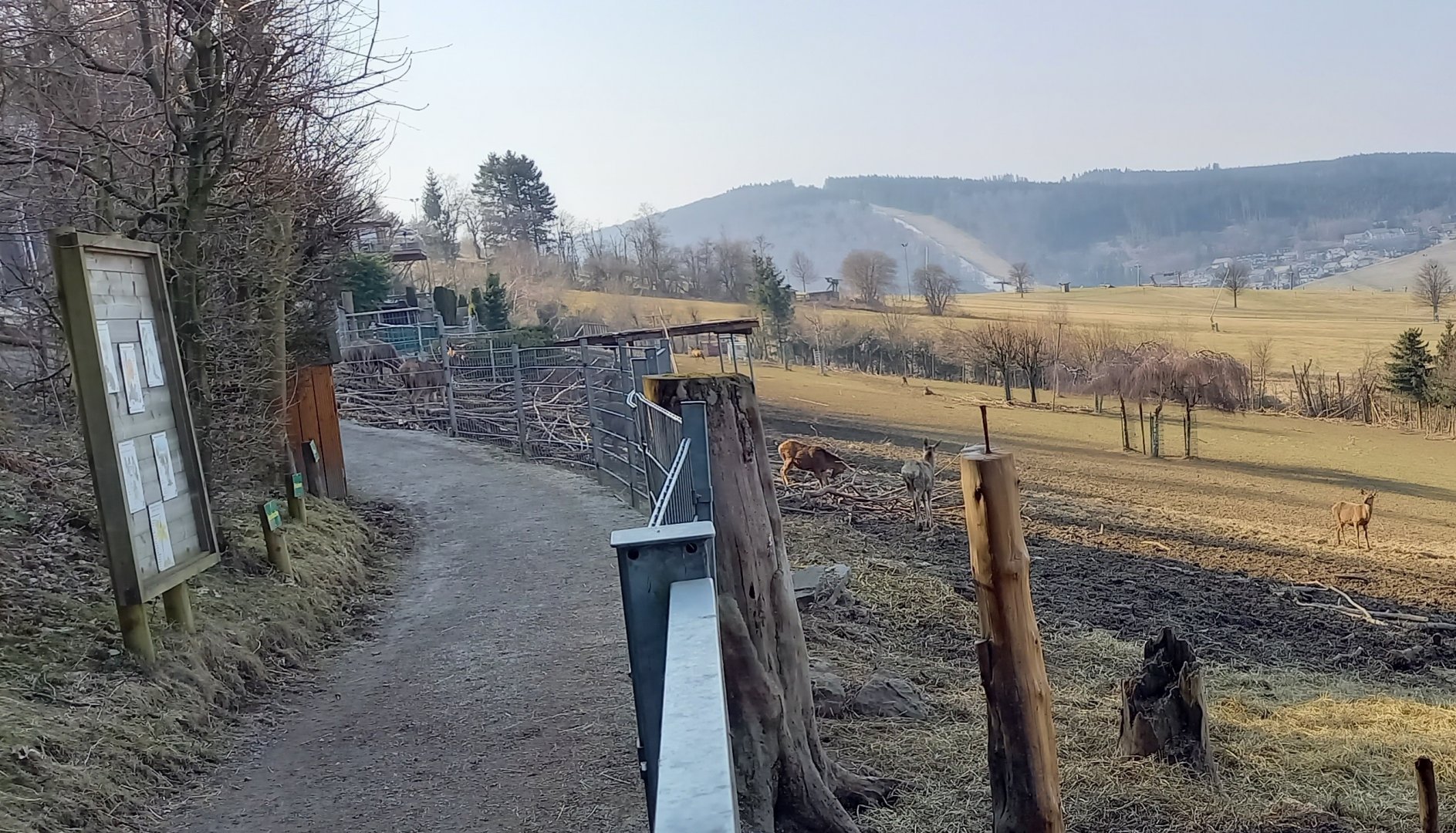 Path along Deer enclosure