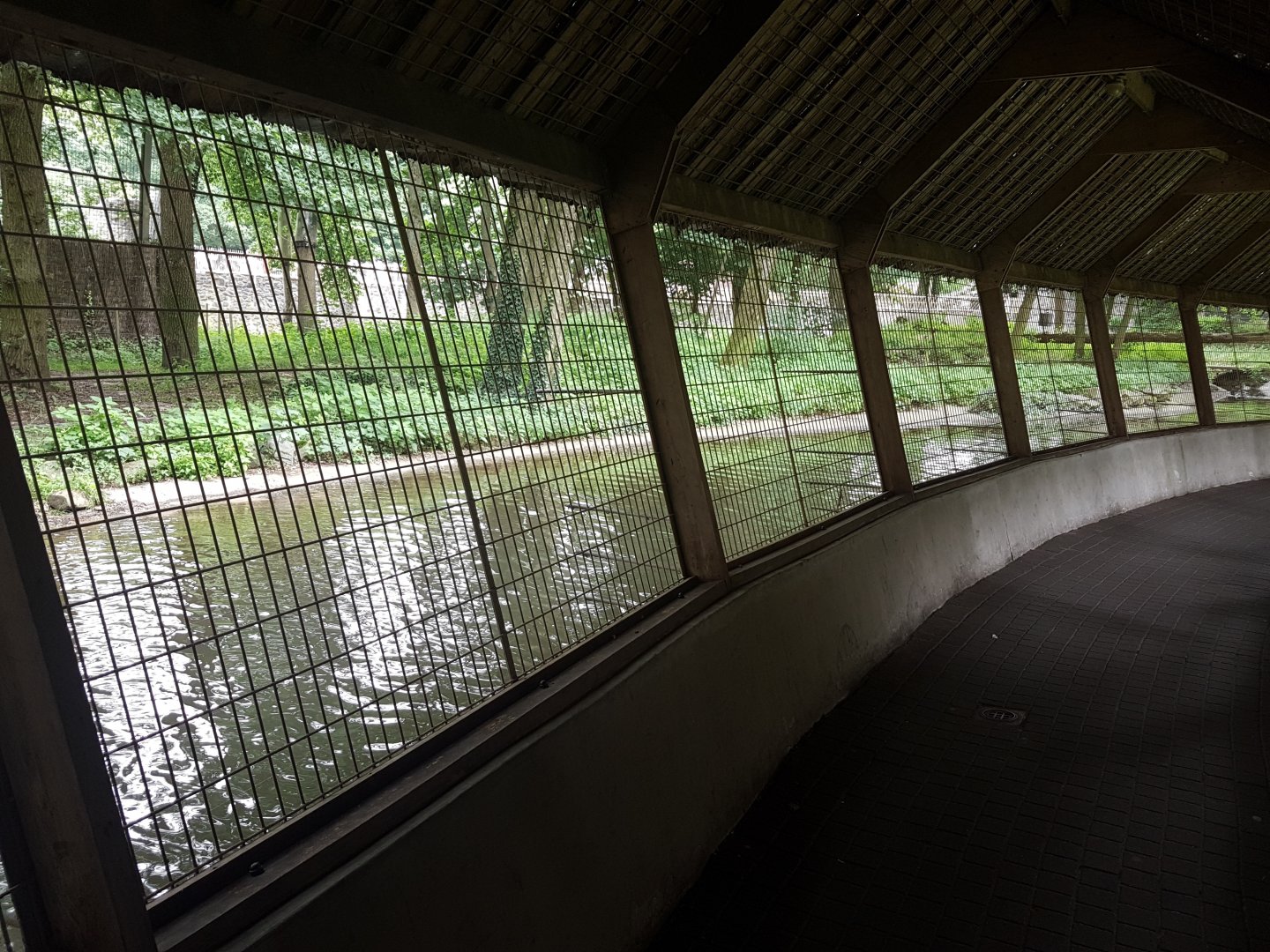 Path along Tiger-enclosure