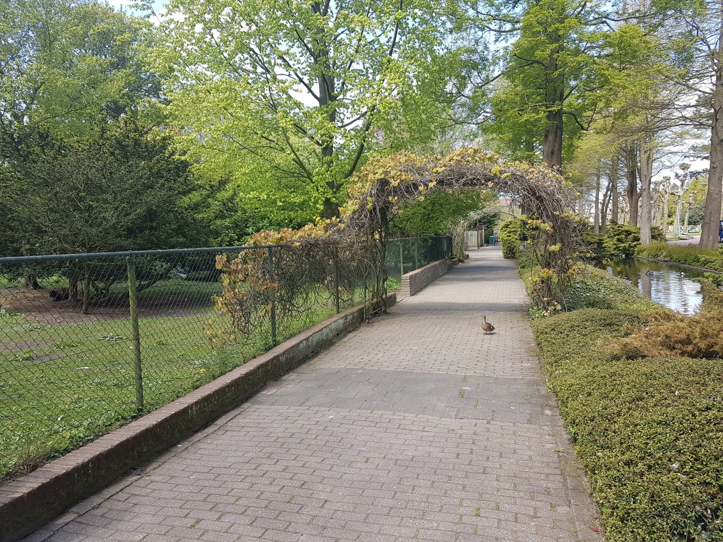 Path along Wader-enclosures