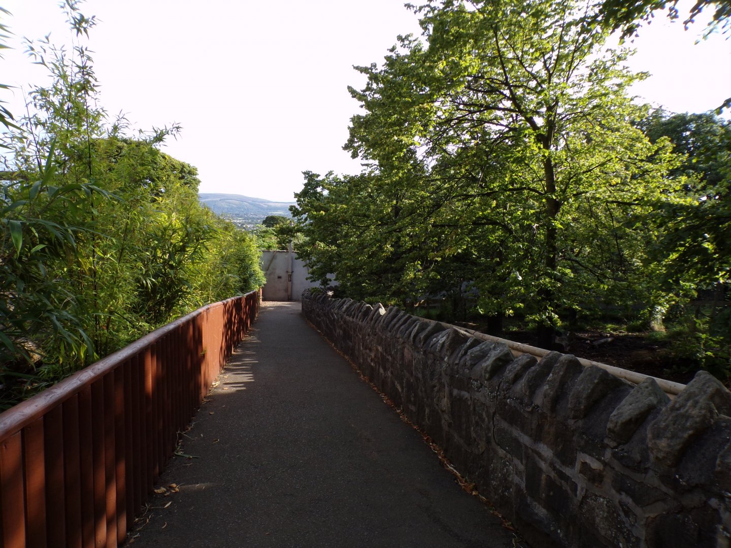 Path alongside Indian rhinoceros and Visayan warty pig enclosures 14.8.23
