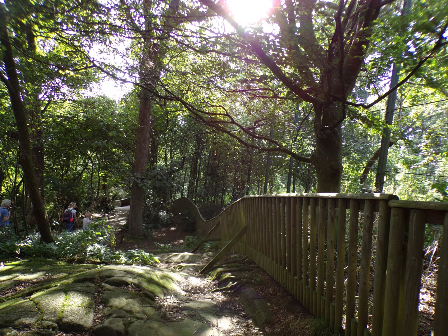Path alongside the lion enclosure 14.8.23