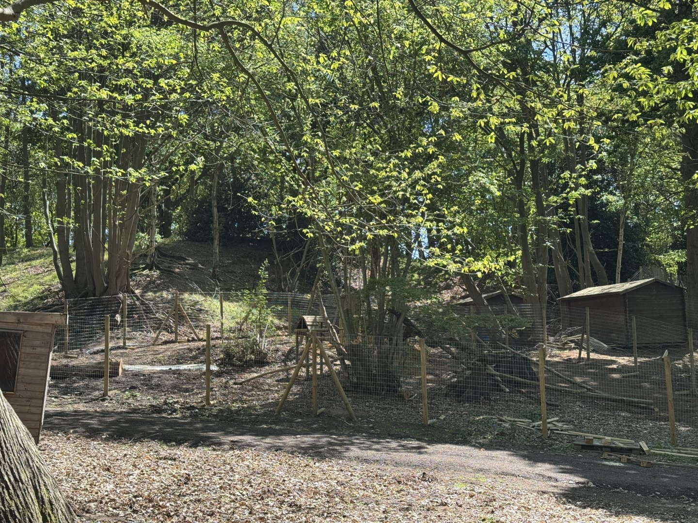 Path and enclosure construction