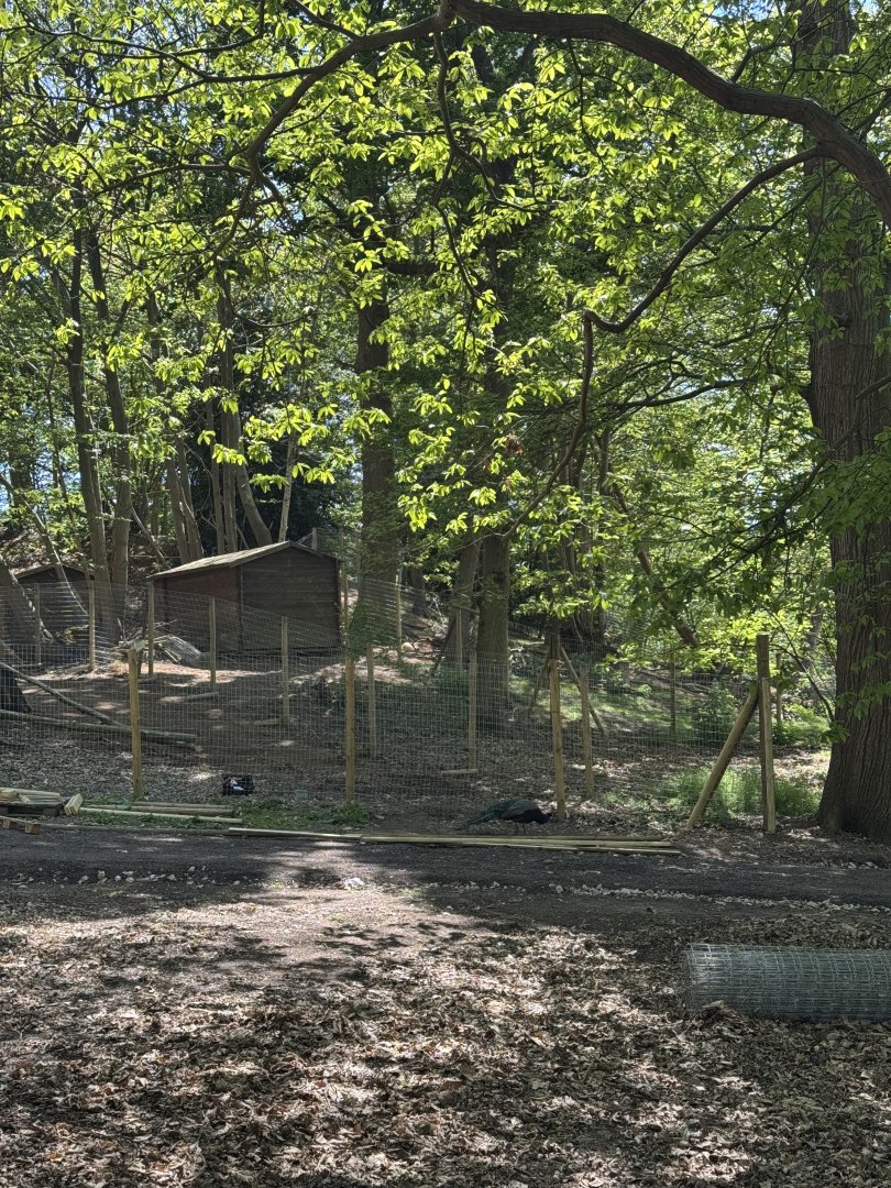 Path and enclosure construction