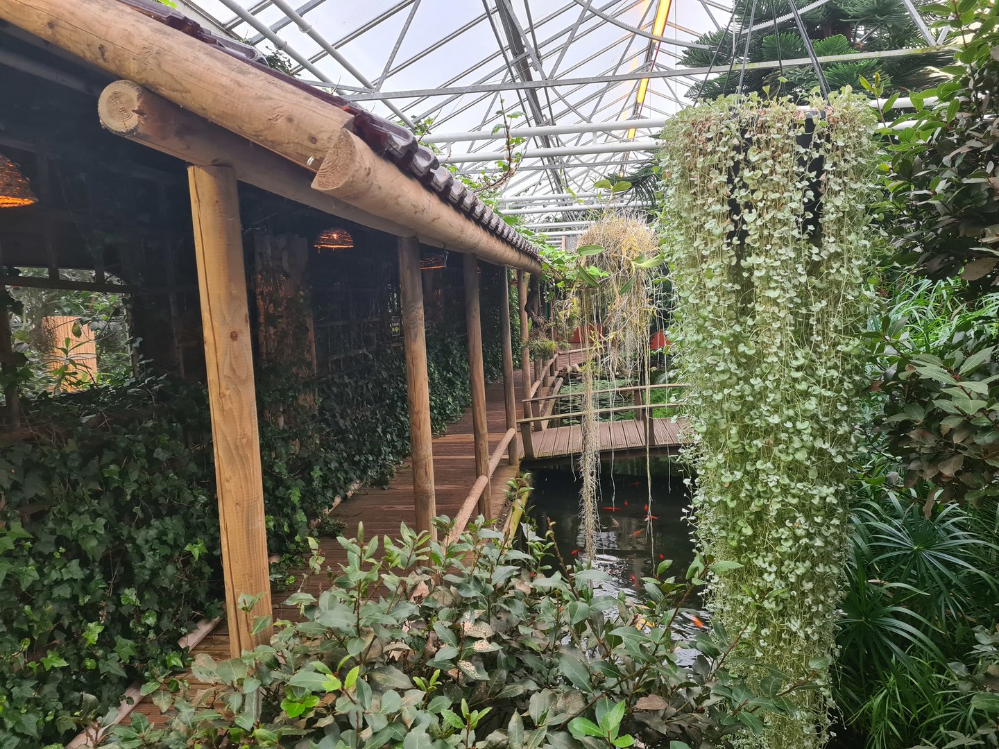 Path around Lori(keet) garden