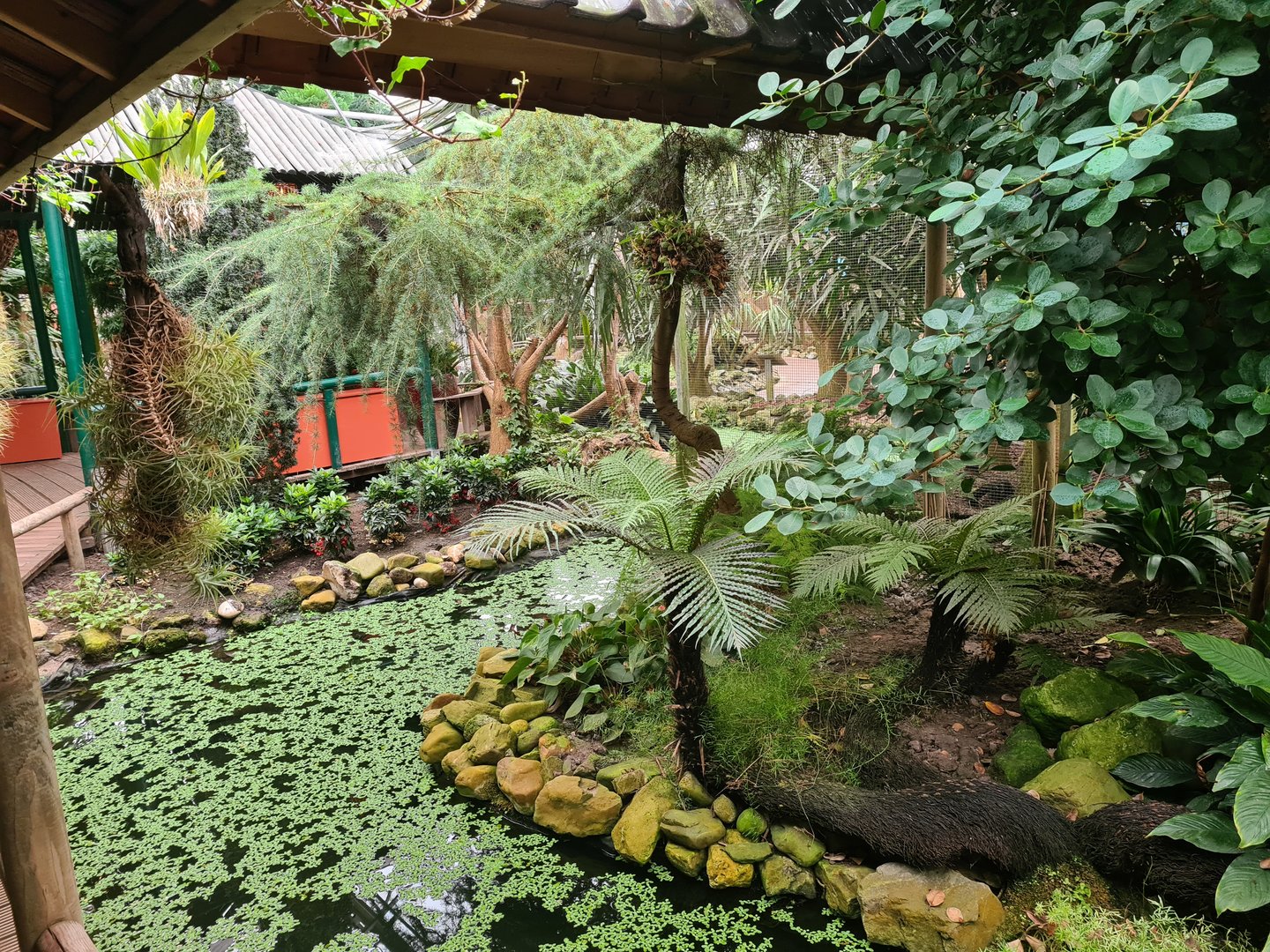 Path around Lori(keet) garden