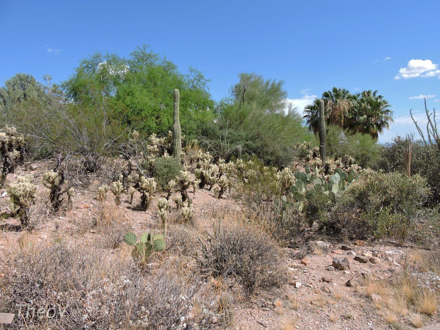 Path around the park [2015]