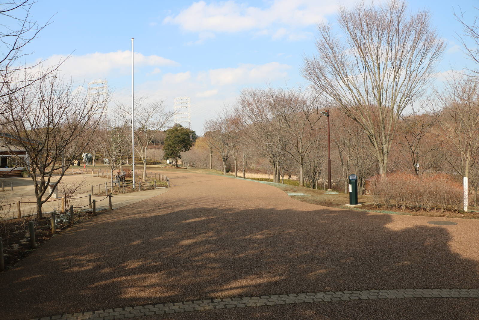 Path at the zoo, February 2016
