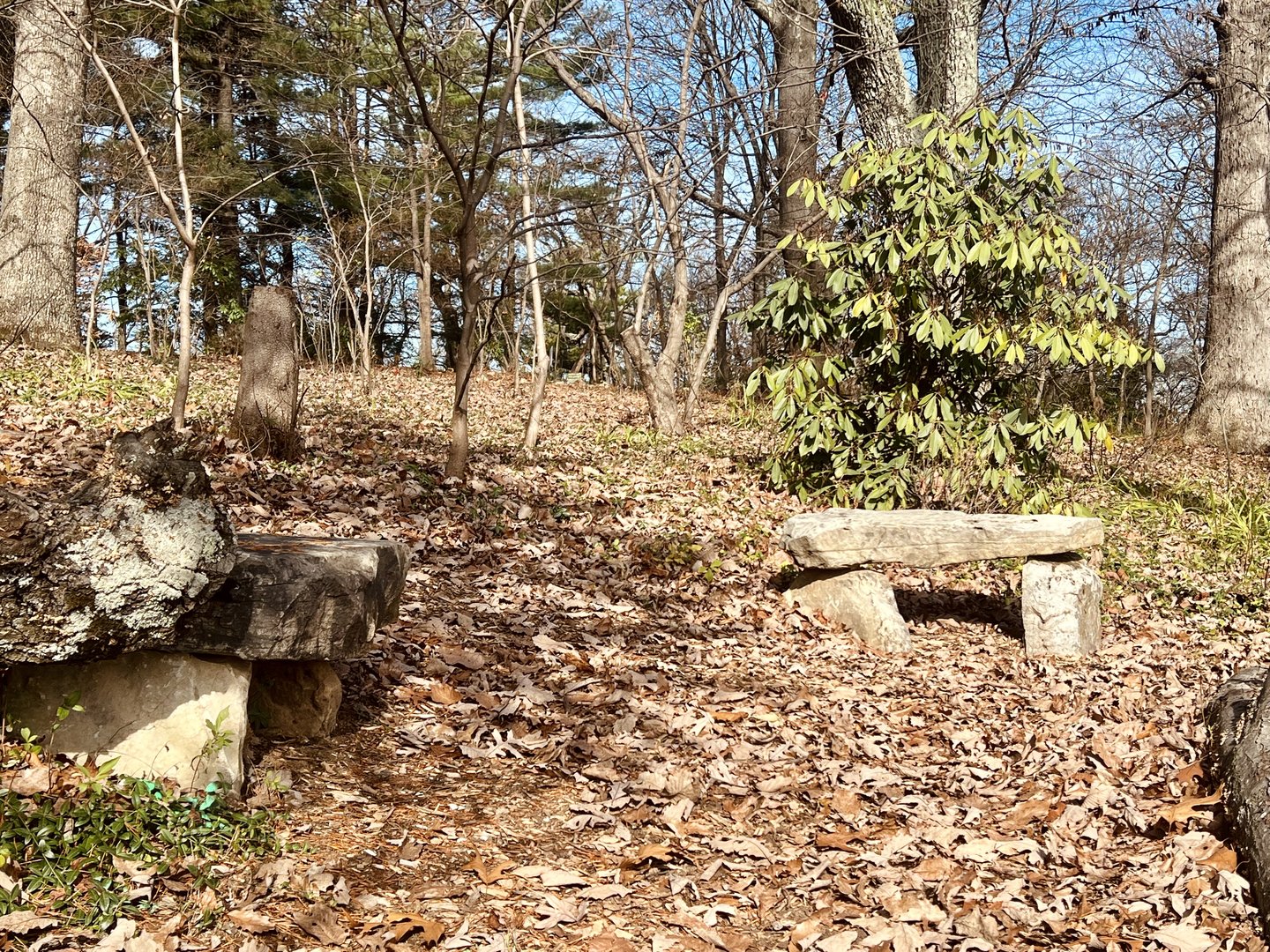 Path back to the parking lot