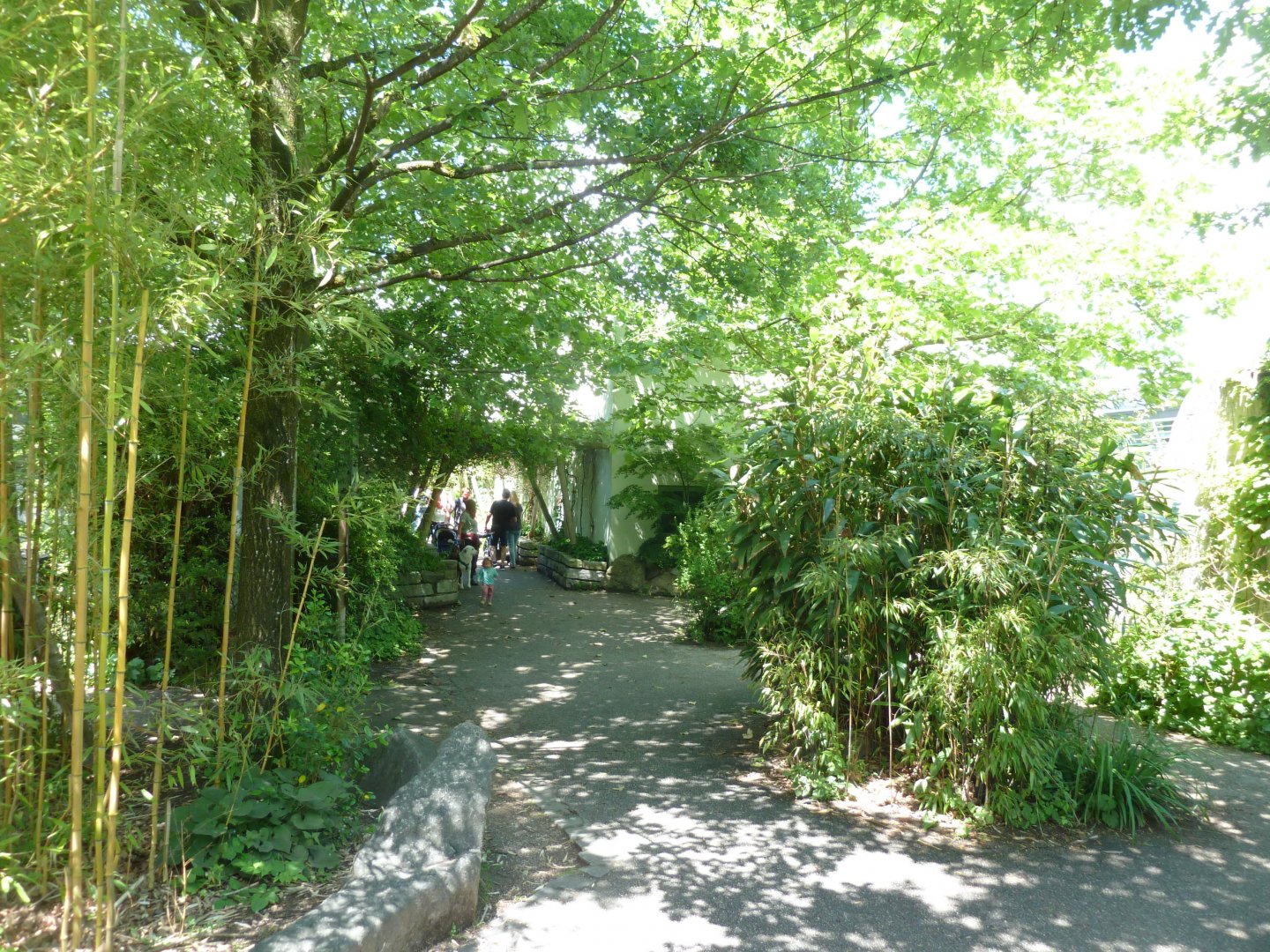 Path behind the Venomous snake house