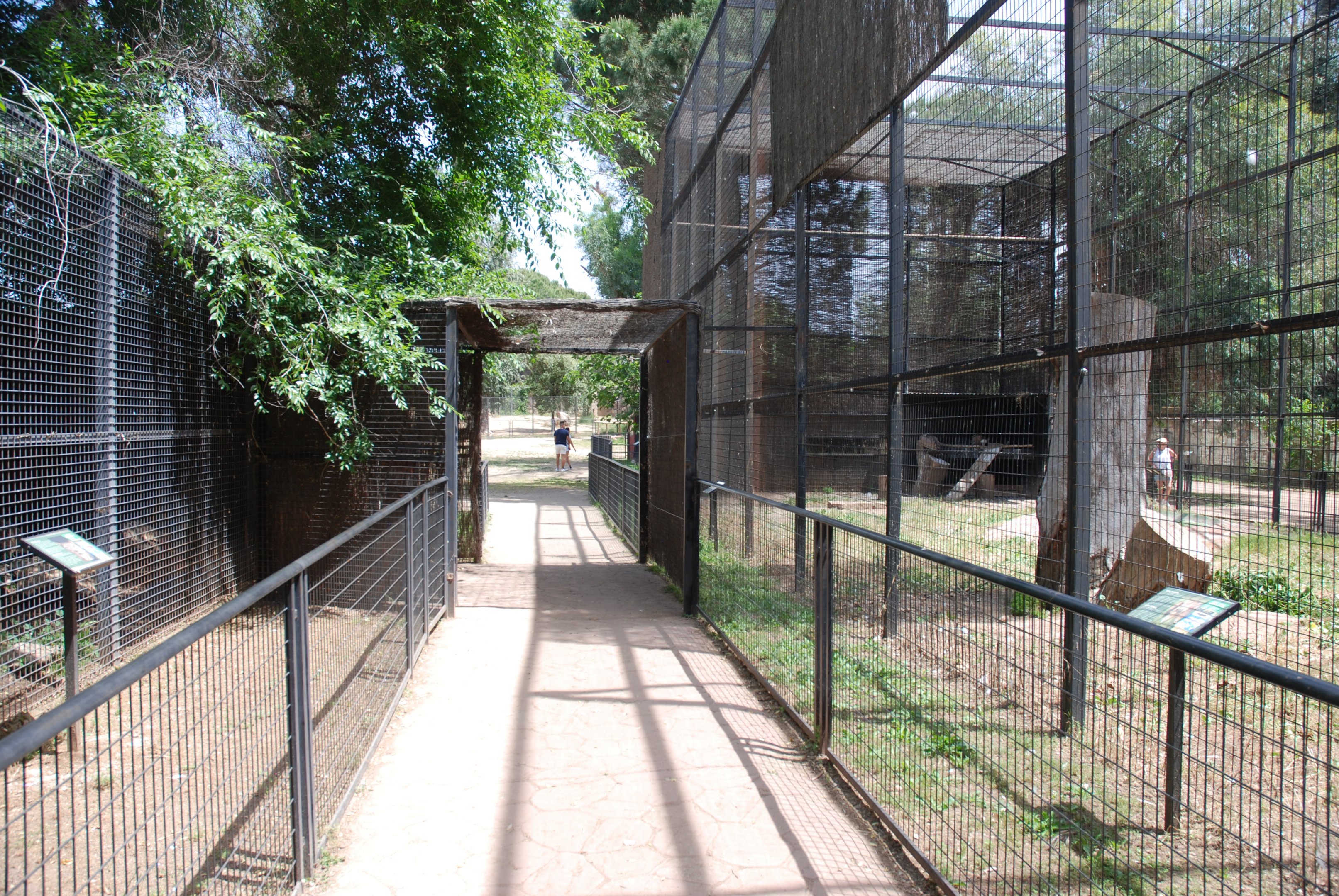Path between European Lynx Enclosure and Vulture/Eagle Aviary at Safari Madrid, 19th May 2022