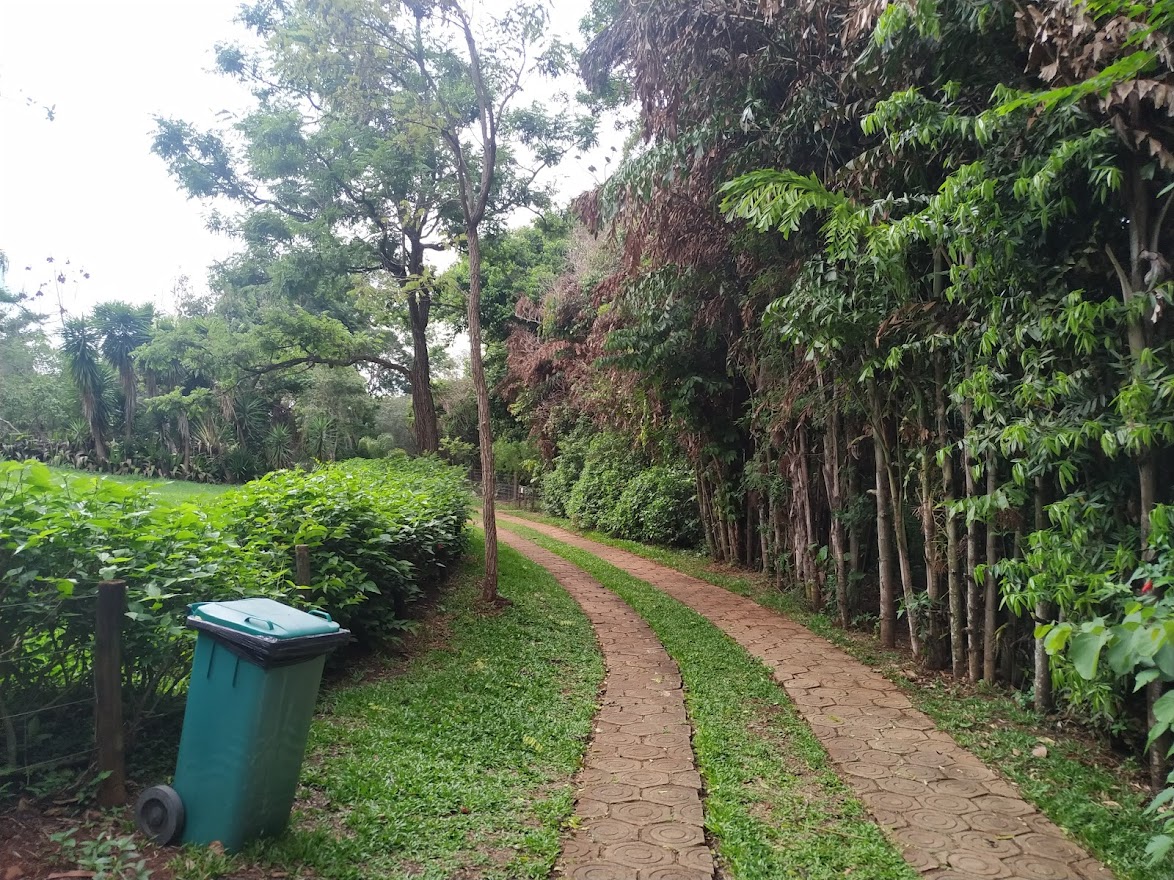 Path between Feline Section and Cerrado Section