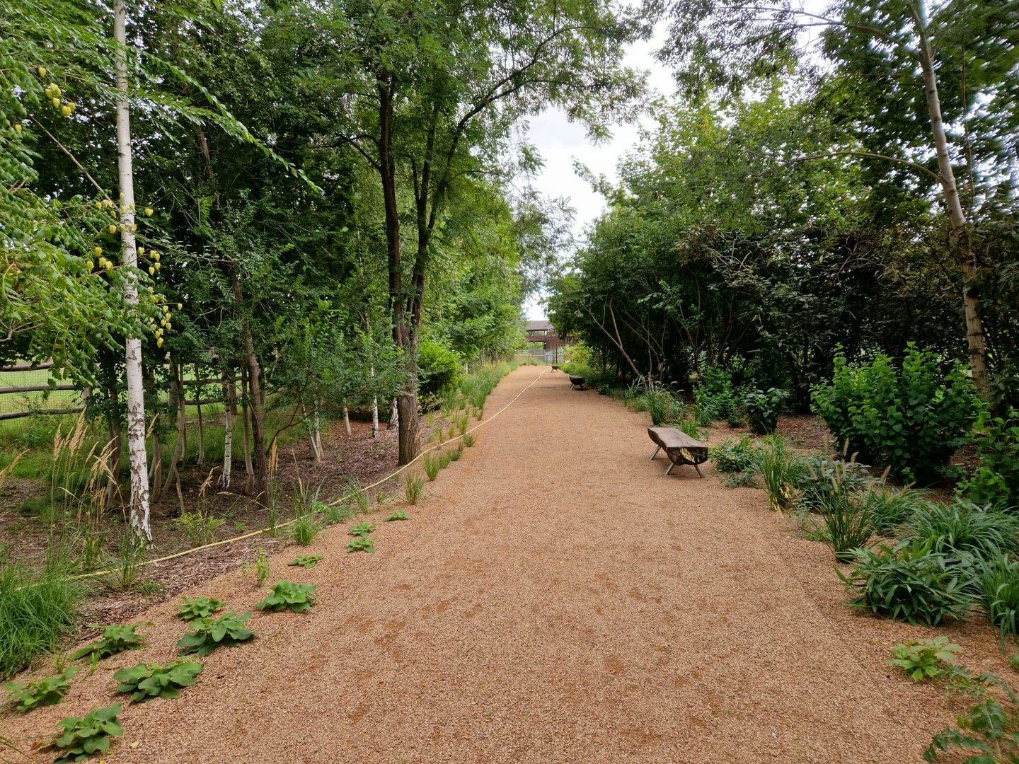 Path between Gorilla pavilion and Savannah bridge