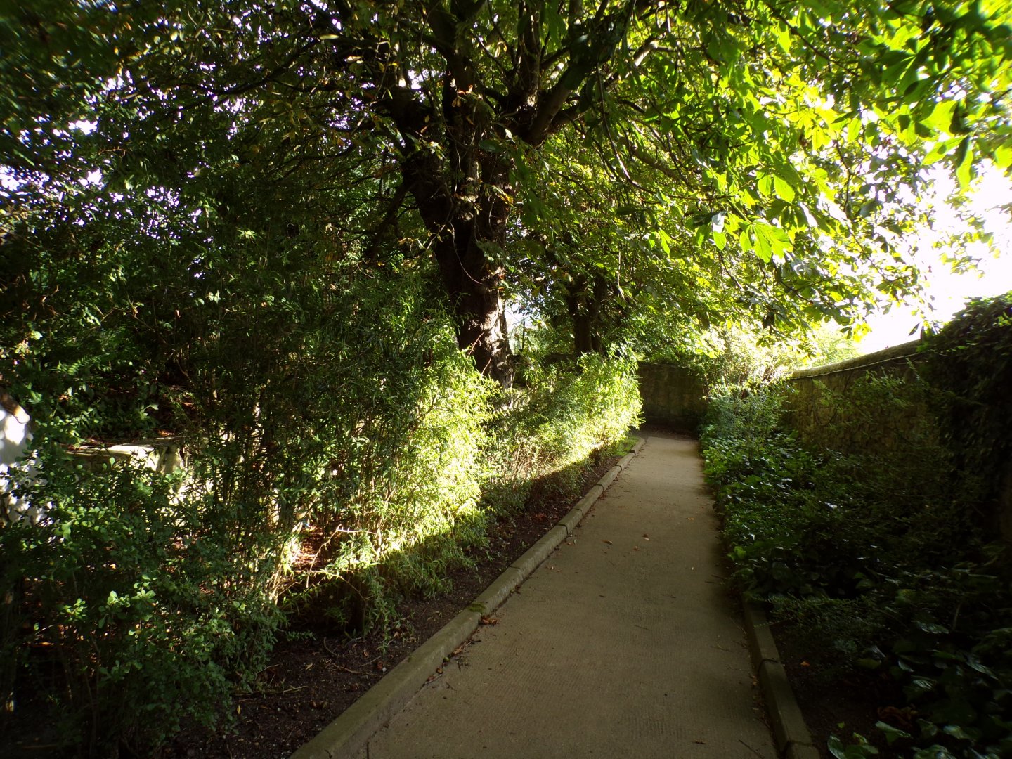 Path between rhinoceros and warty pig enclosures 14.8.23