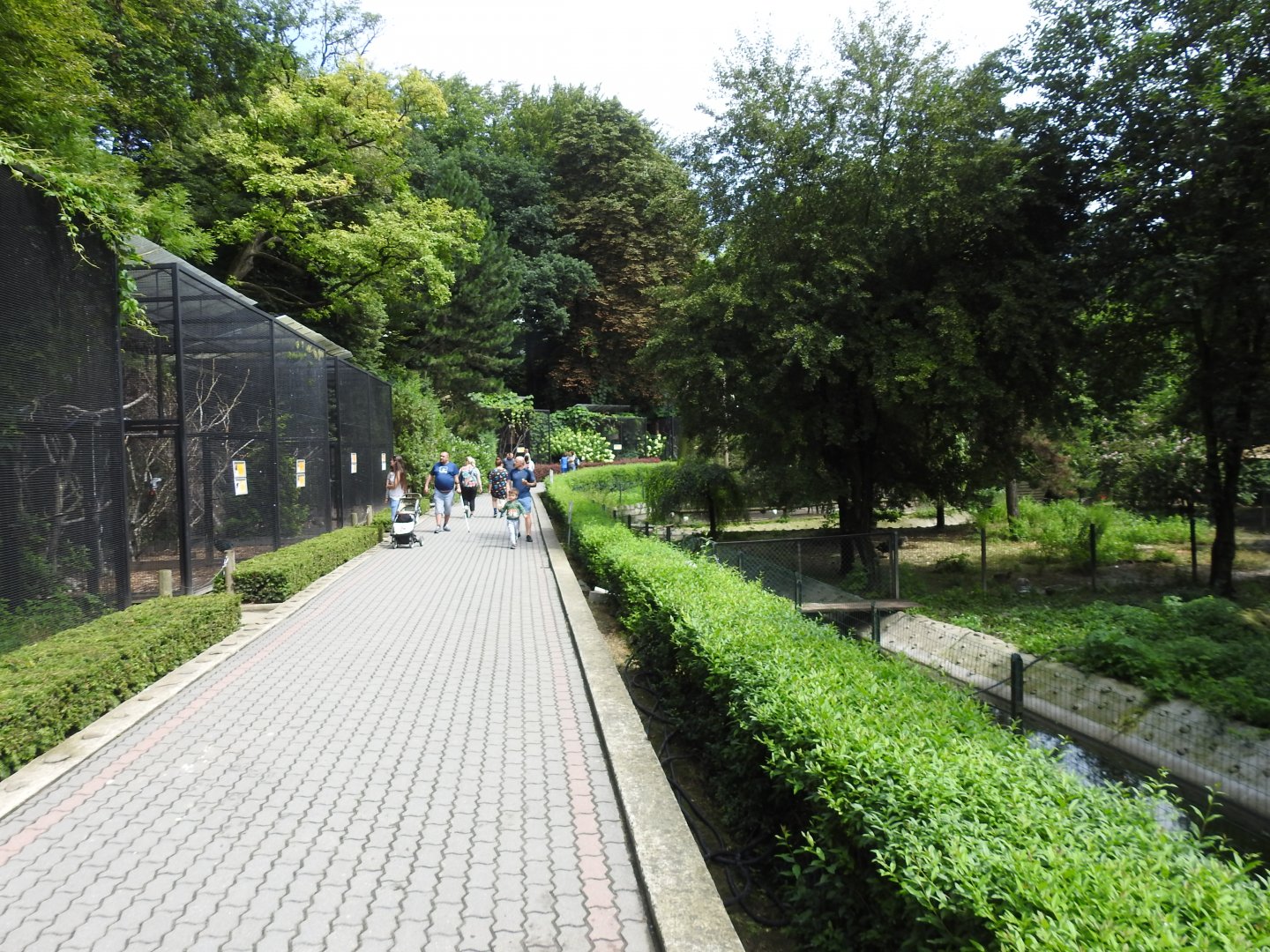 Path between row of bird cages and pool for warerfowls